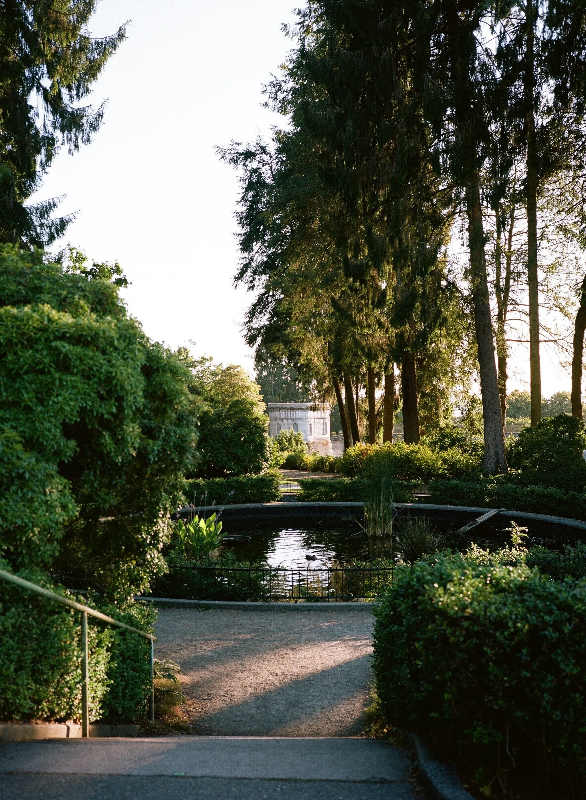 Volunteer Park, August 2020