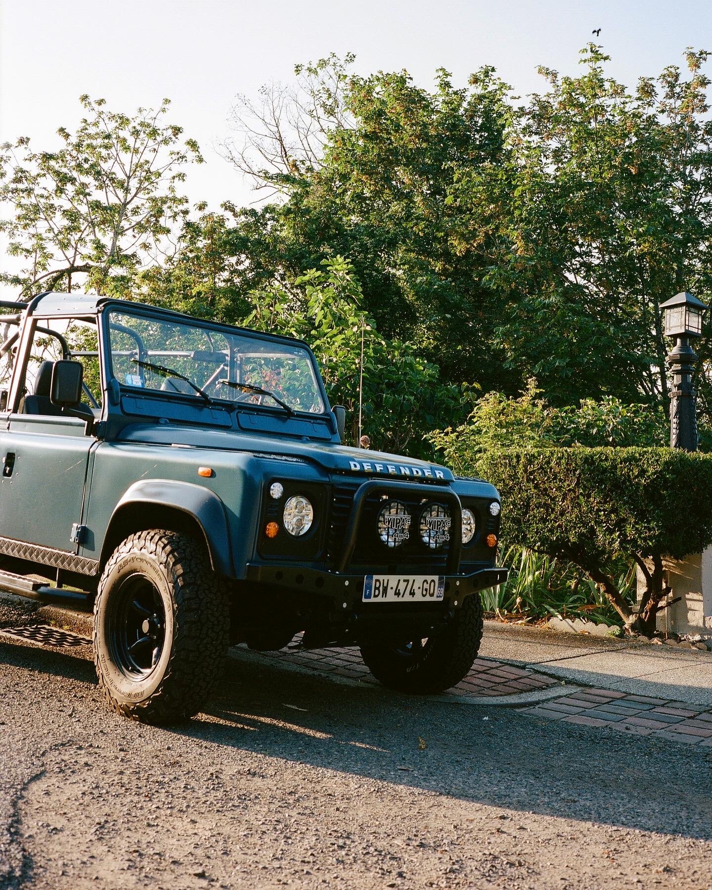 Roanoke Park, July 2020