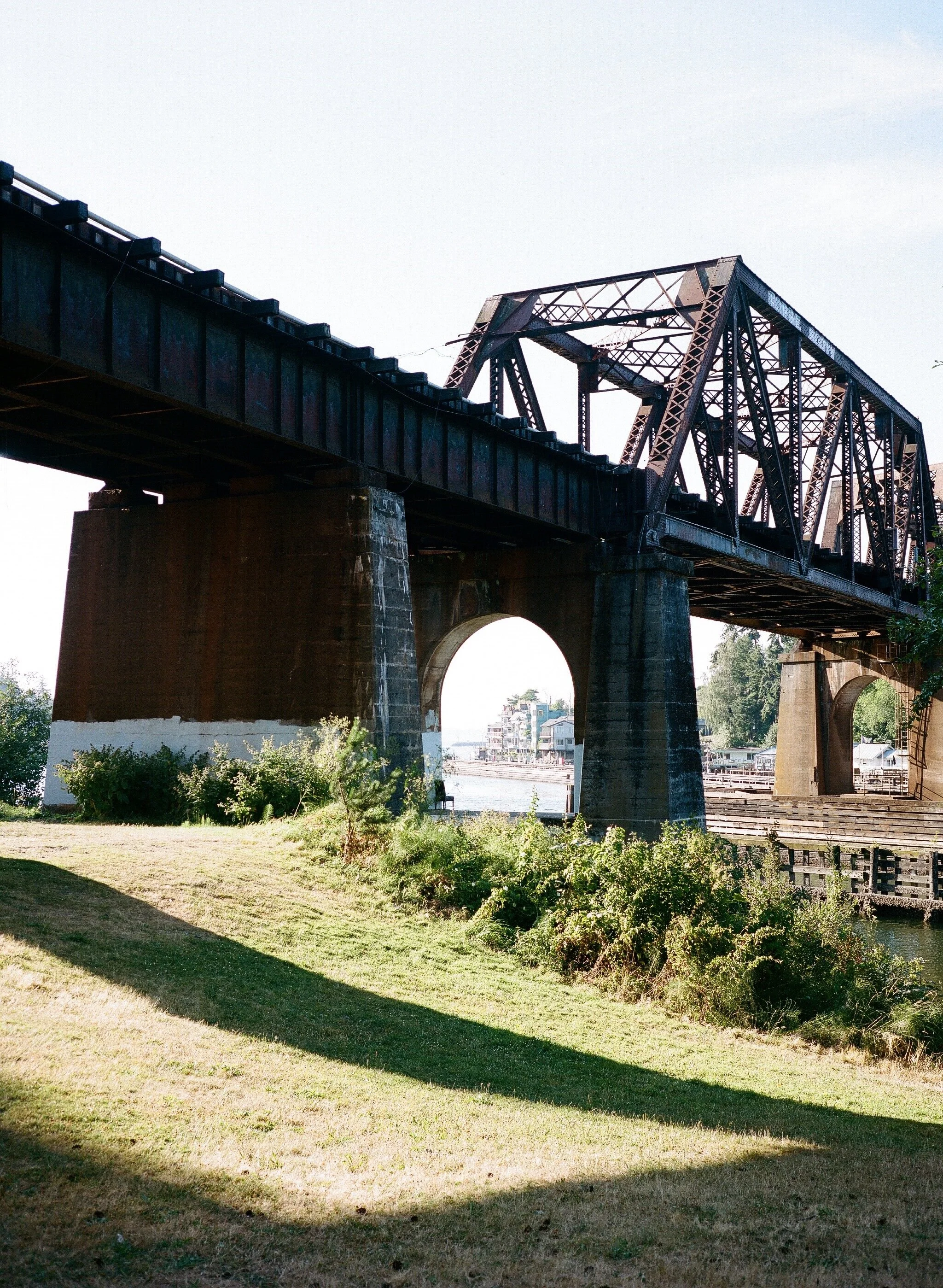 Commodore Park, July 2020