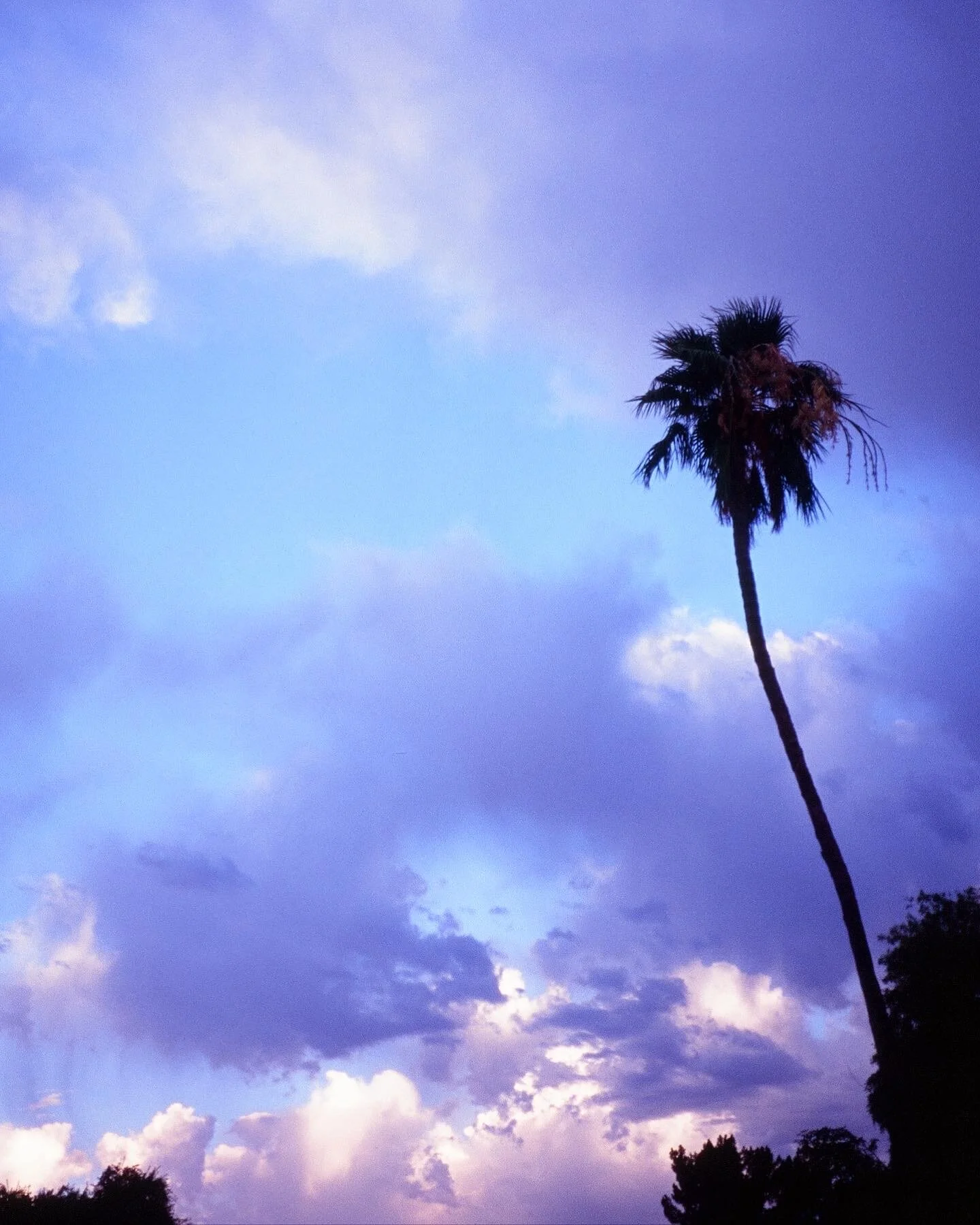 Scottsdale, June 2020