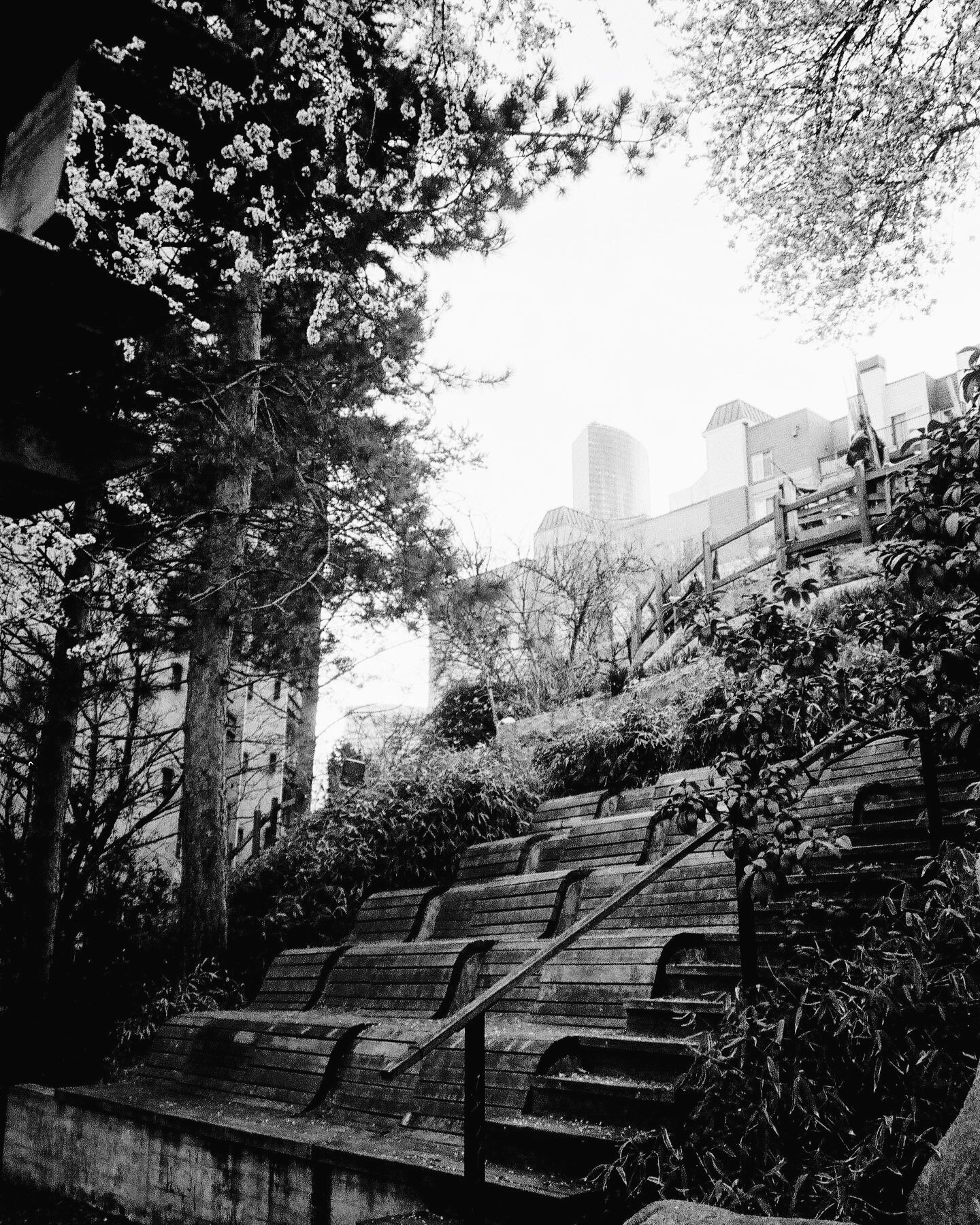 Kobe Terrace, March 2020