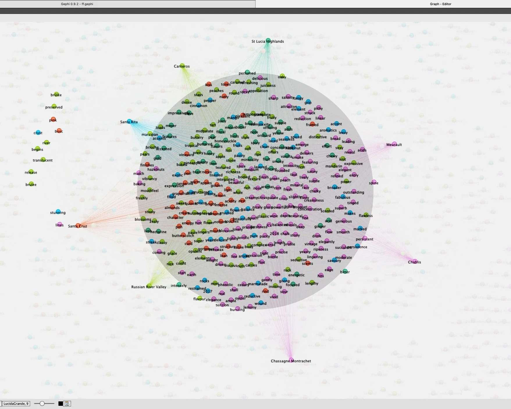 Un grafico di rete complesso e colorato che mostra parole legate al vino, classificate per colore e collegate tra loro da numerose linee, con vari gruppi e etichette quali «Chassagne Montrachet» e «Santa Rita».
