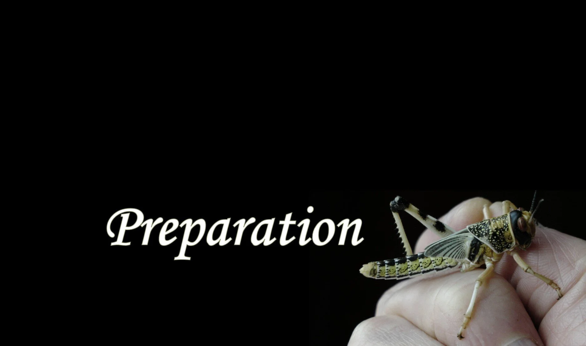 Preparation.jpg