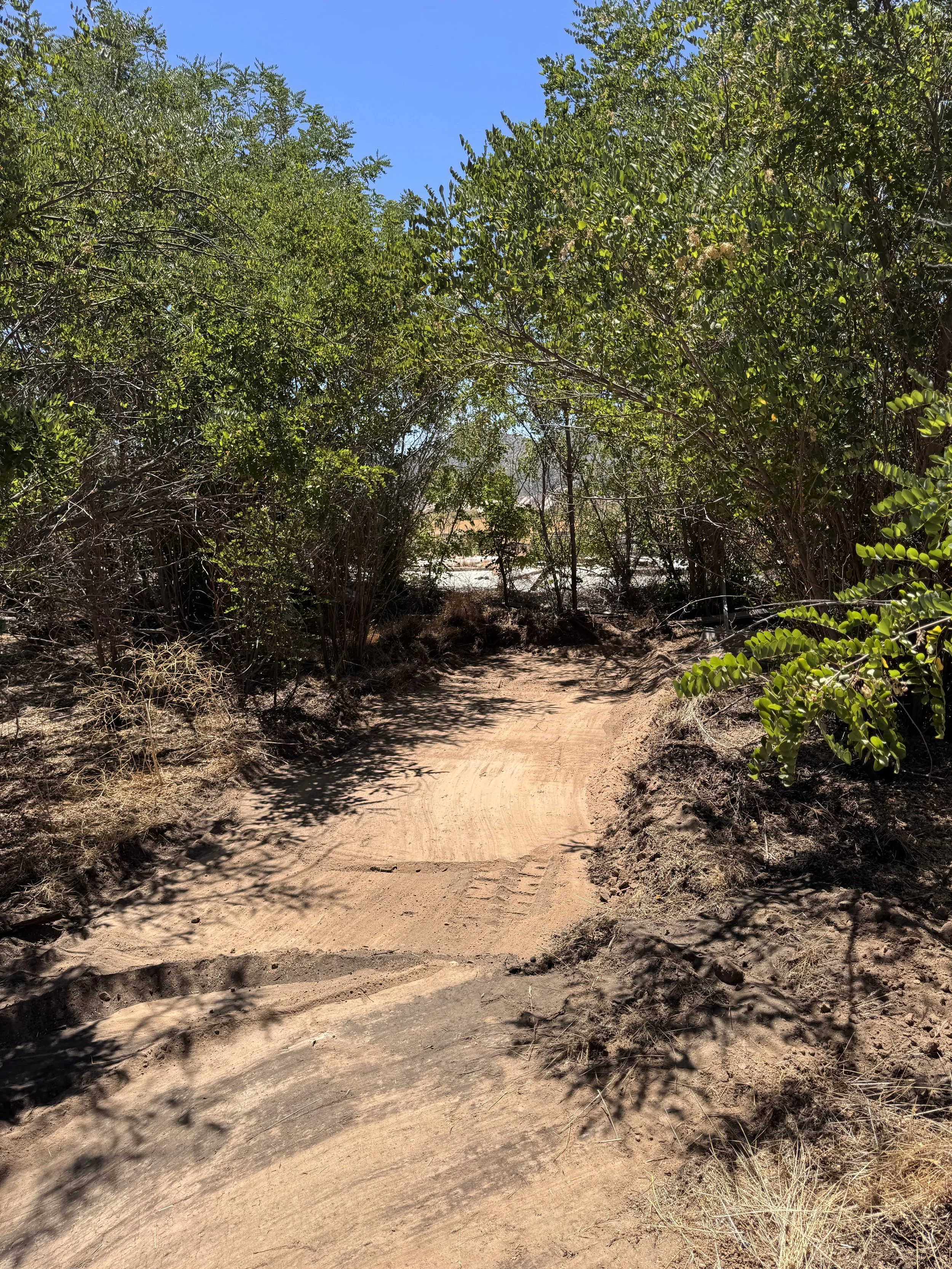 Farm #1 Walking Path.