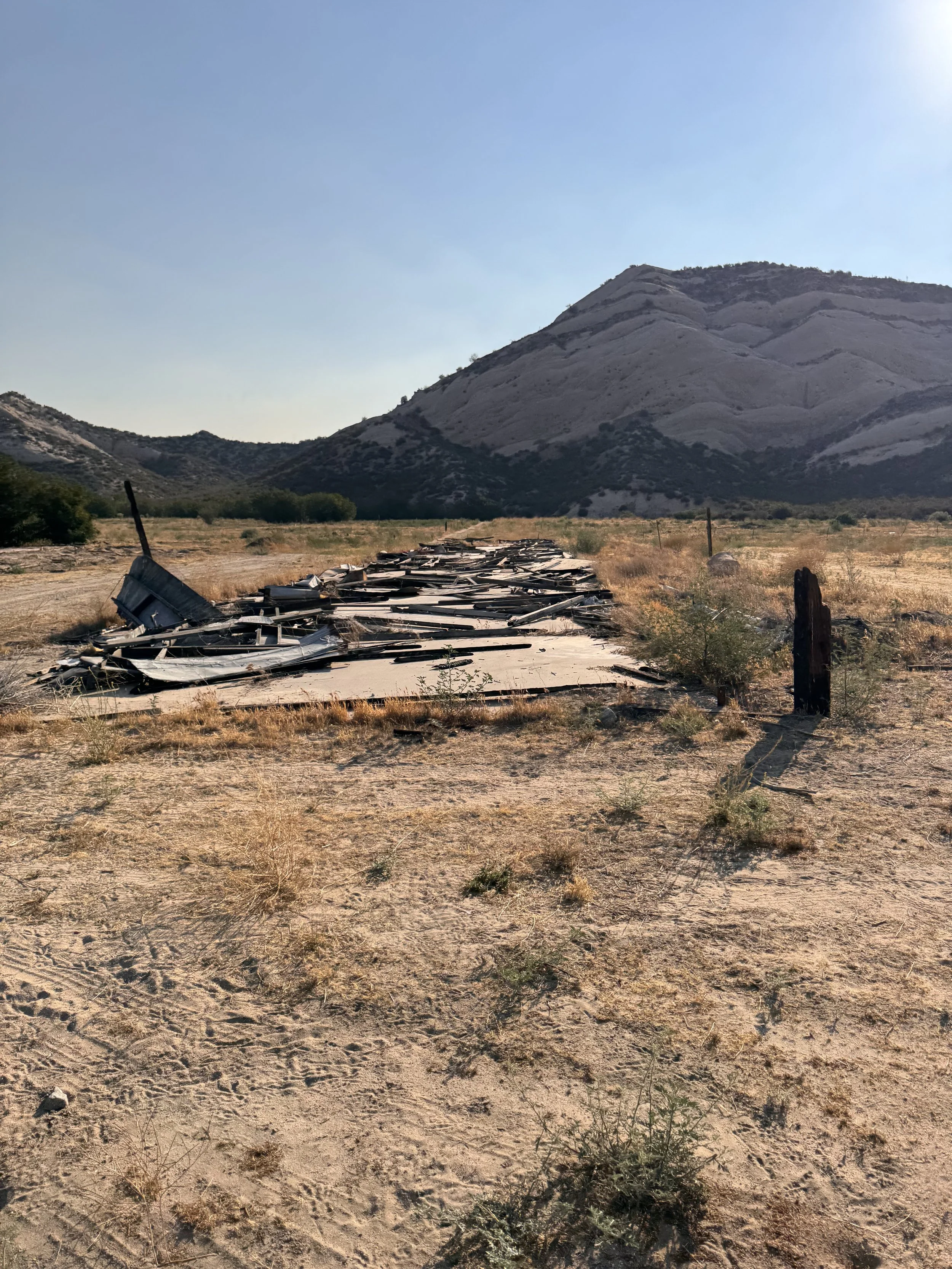 The Future Dairy Location.