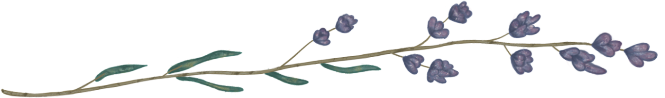 K1051-Stem1.png