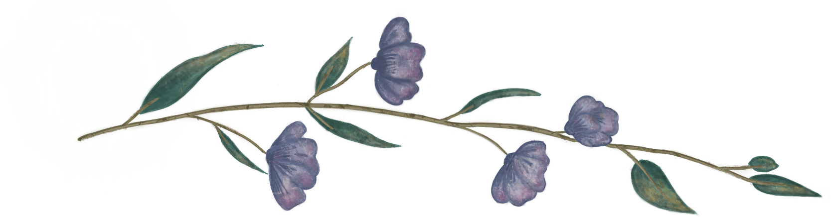 K1051-Stem2.png