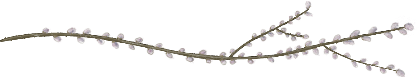 K1051-Stem4.png