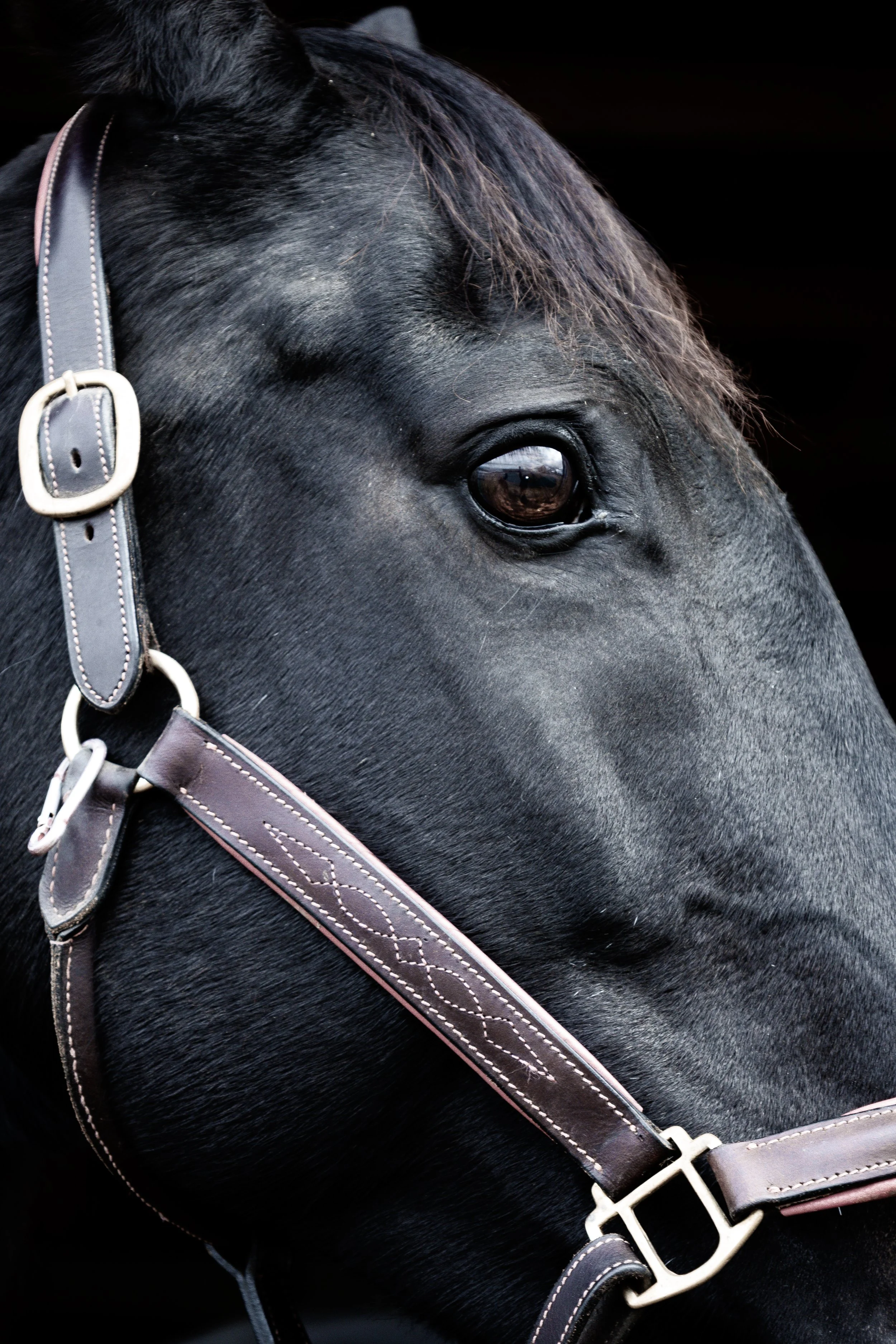 Brim-LR6A6578_CLRD.jpg