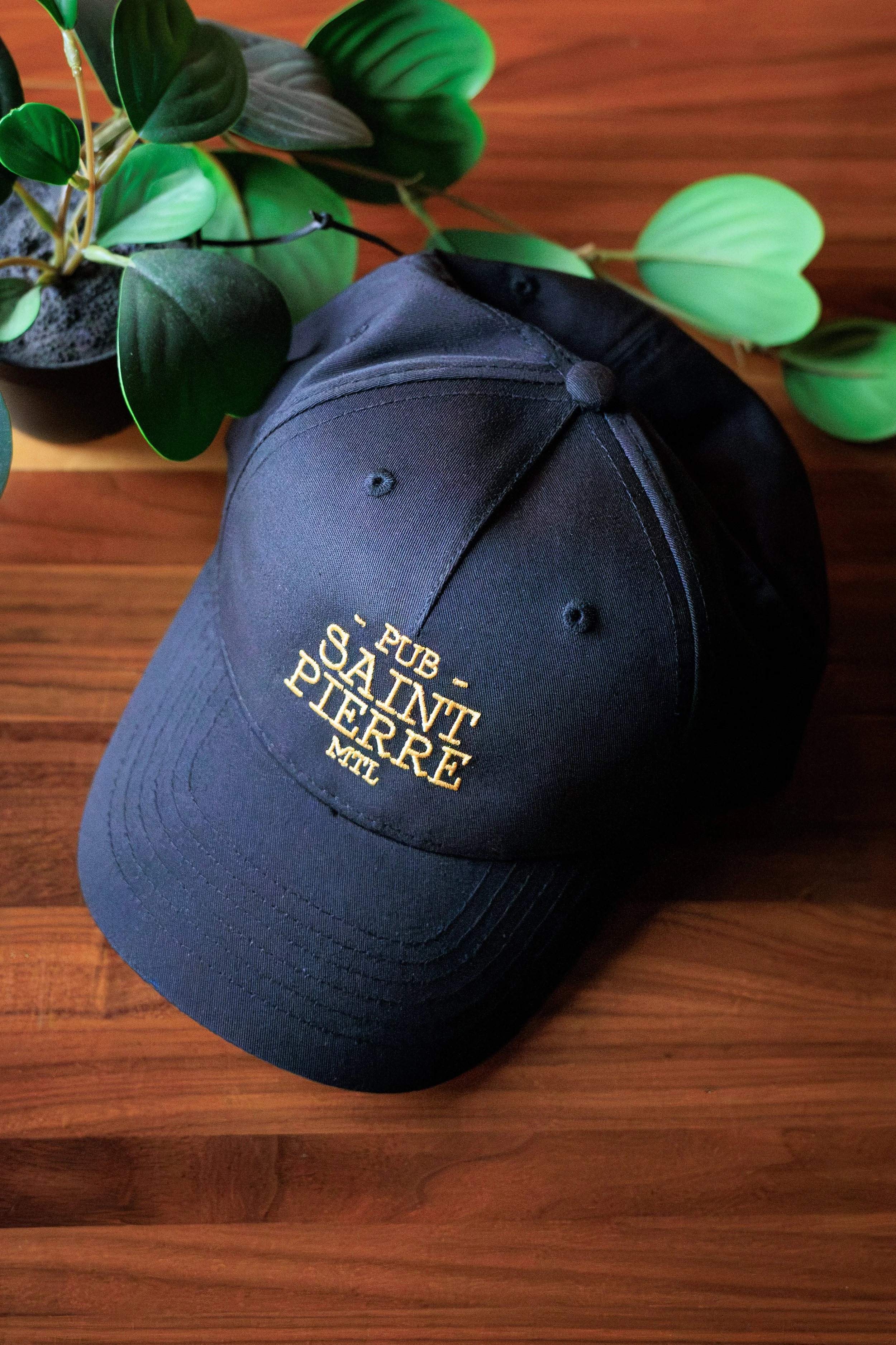 Hat on wood with plant.jpg