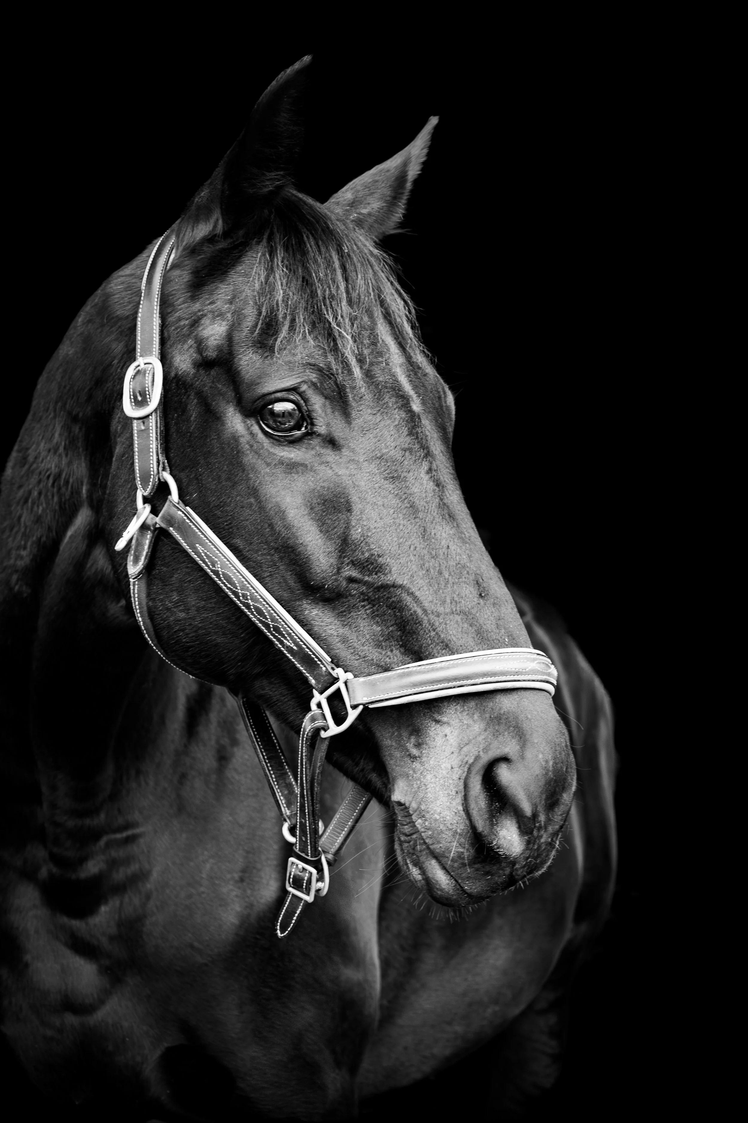 Brim-LR6A6727-4_BW.jpg