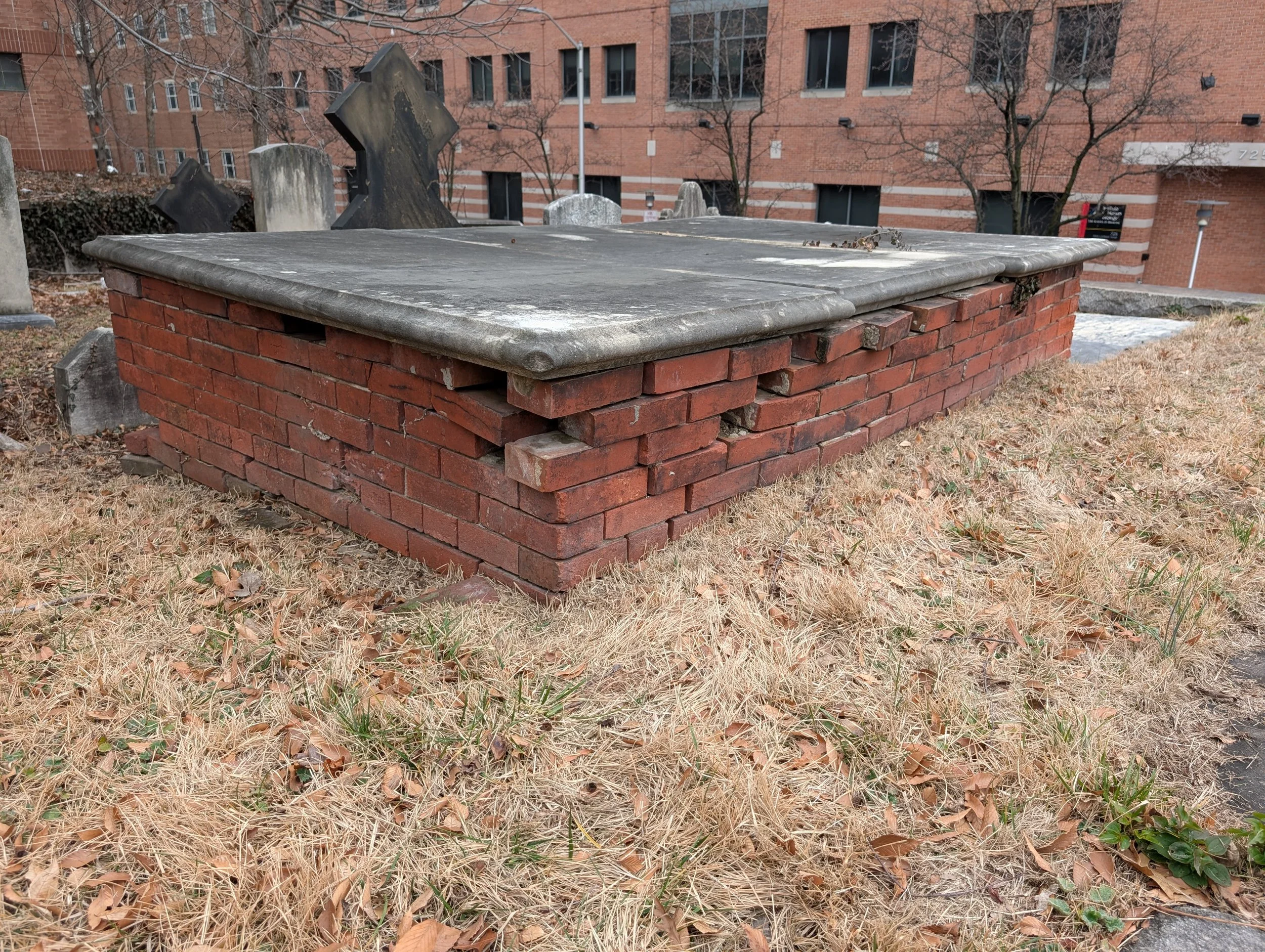 PXL_20260307_182412549.jpg
