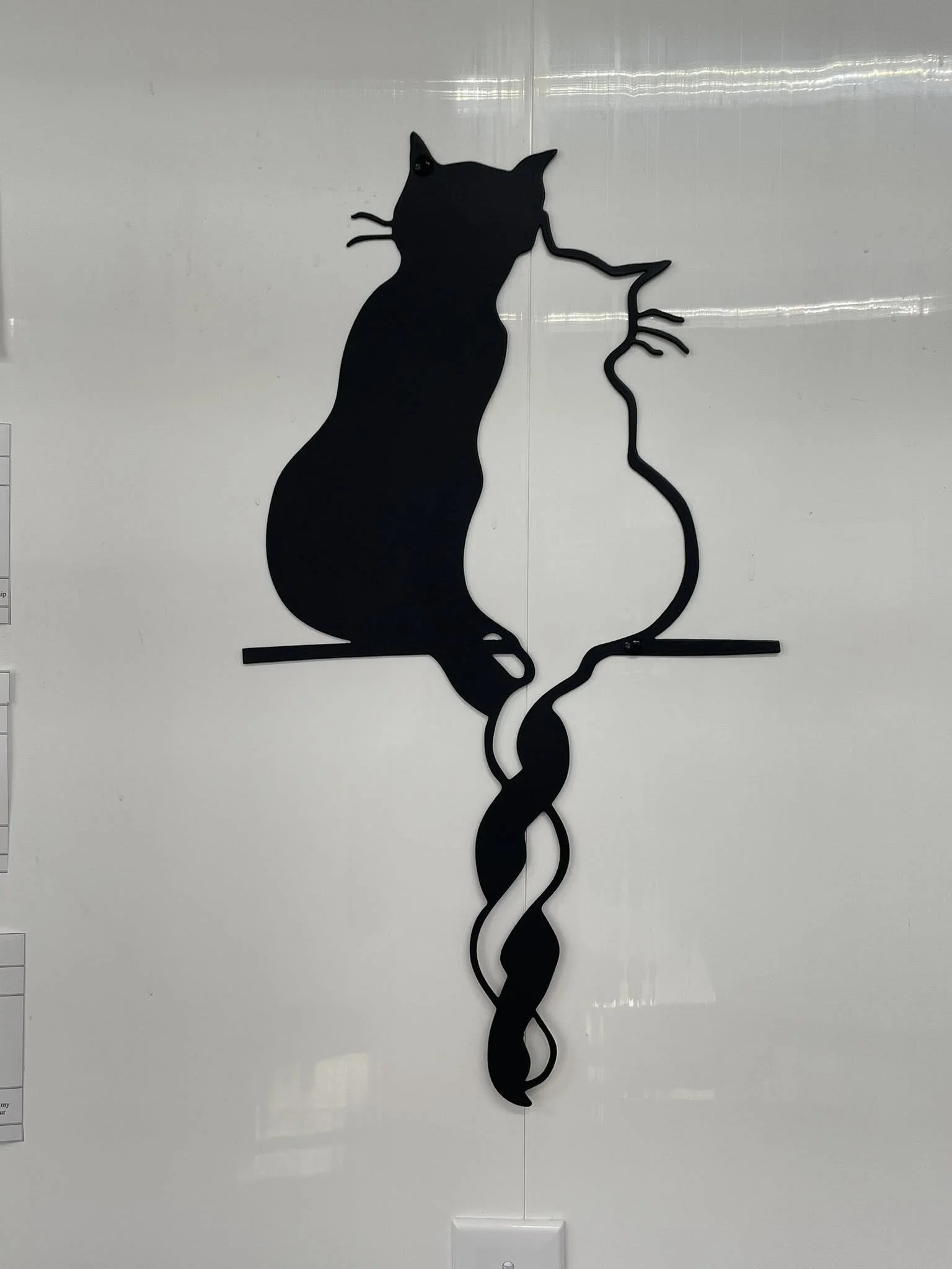 cats with twisted tails.jpg