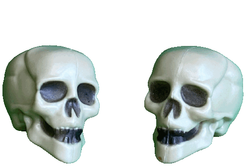 Gifs Magic Society Pictures