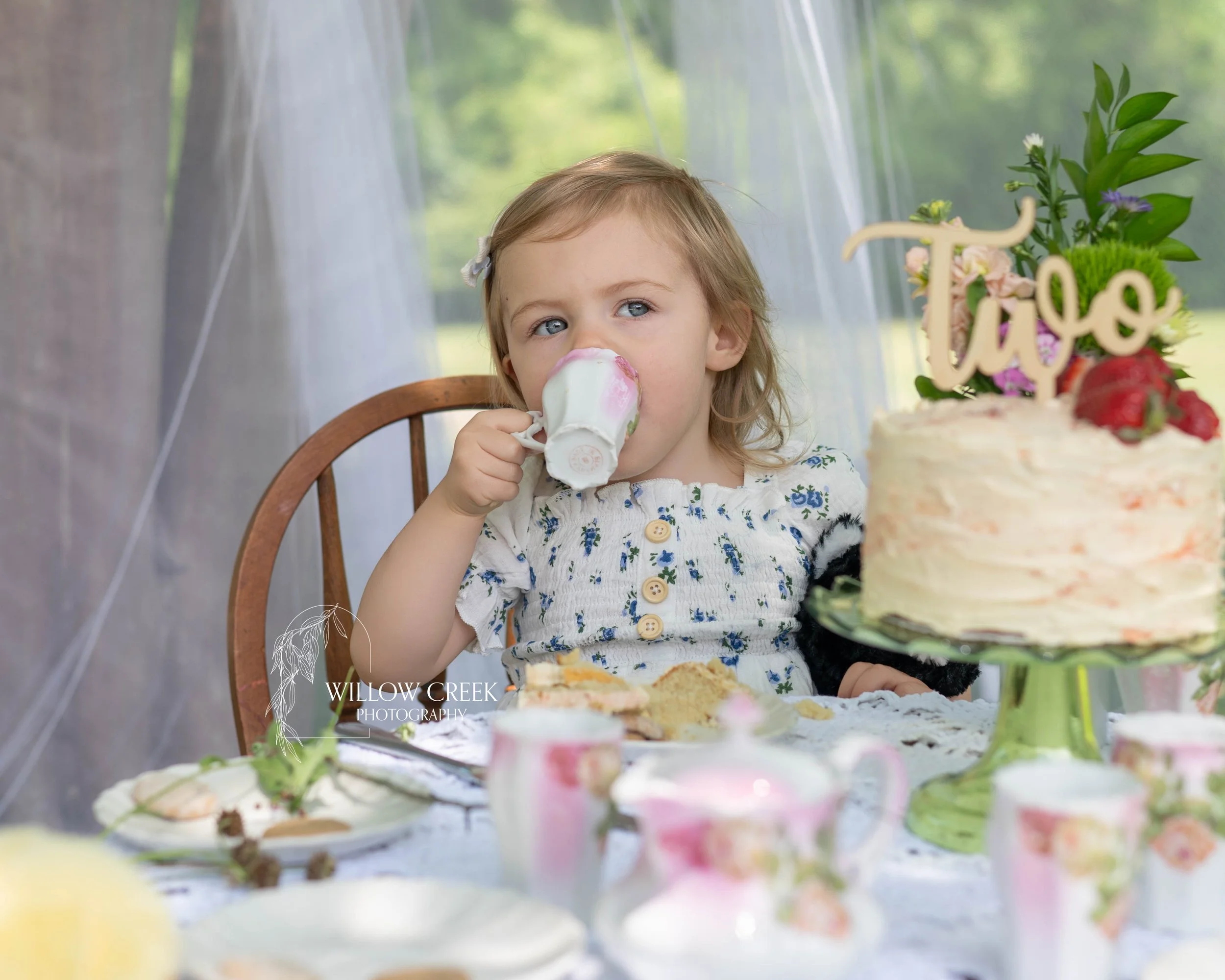 little-bear-birthday-session-wilmington.jpg