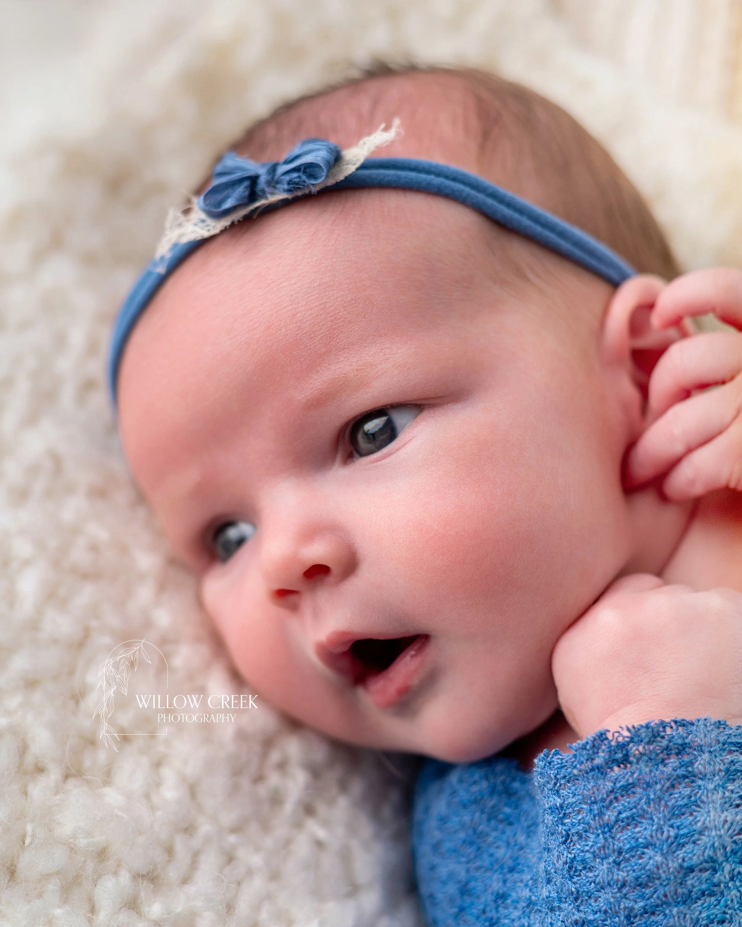 color-detail-studio-newborn-wilmington-nc.jpg