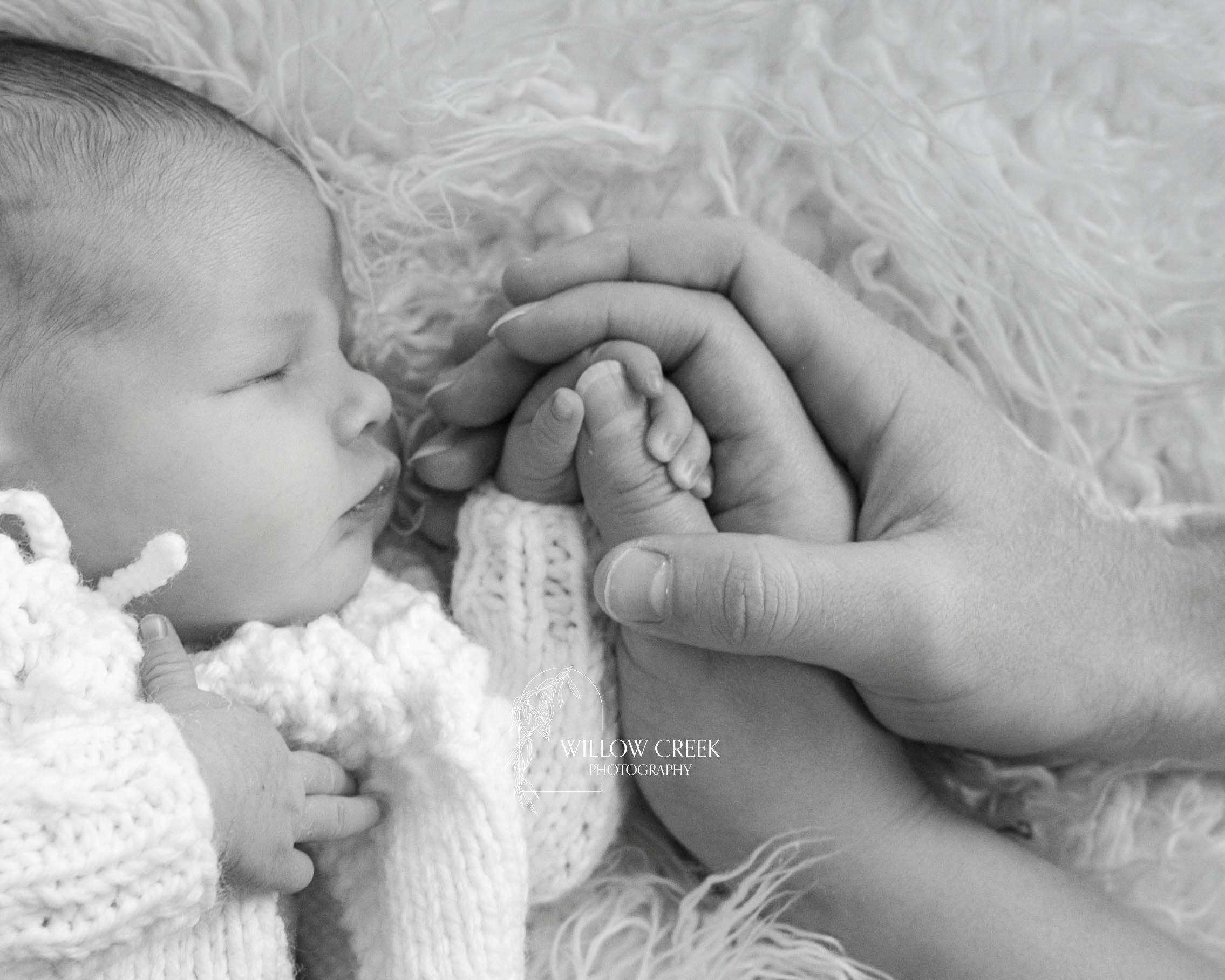 wilmington-nc-posed-newborn-photographer.jpg