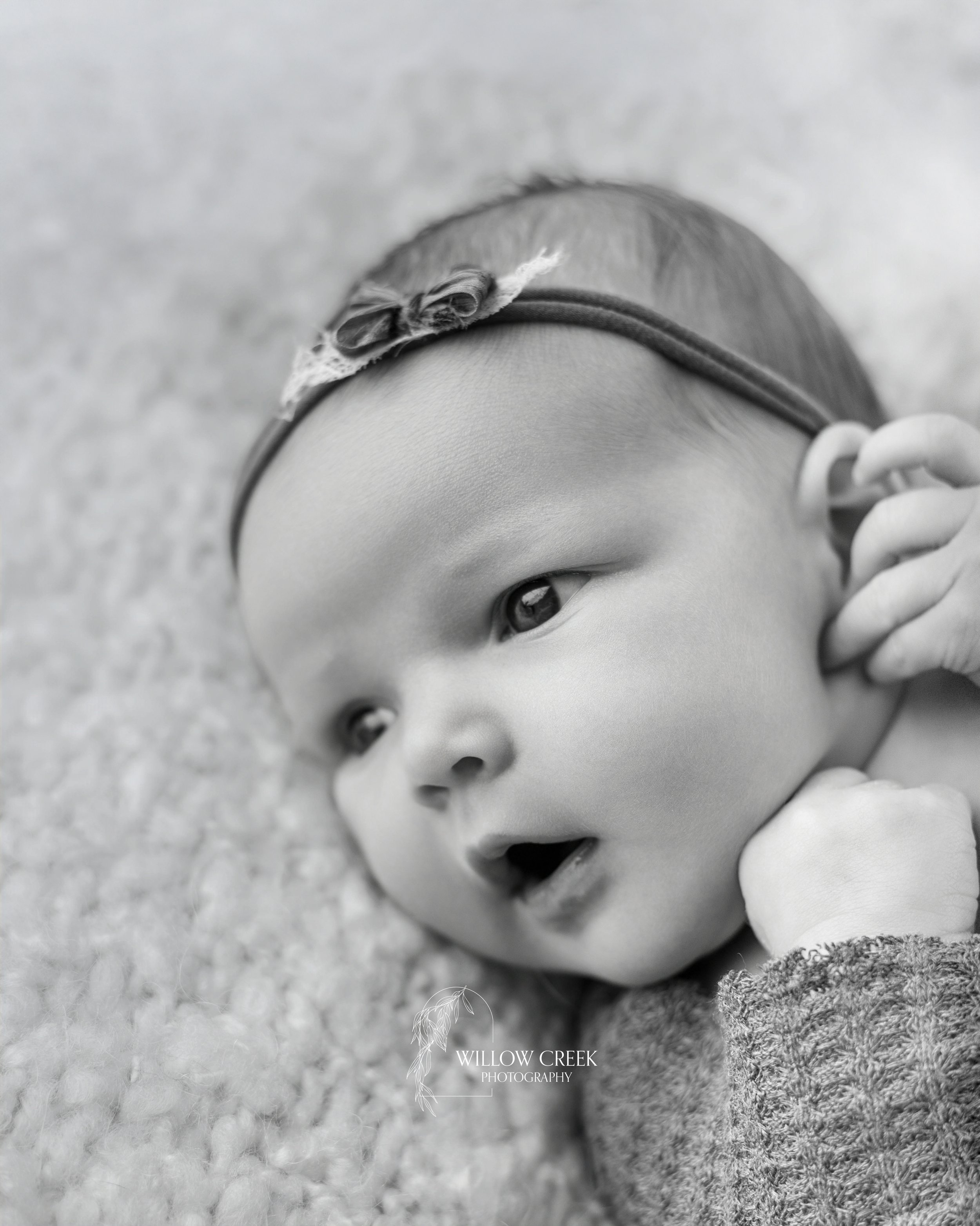 black-white-newborn-studio-wilmington-nc.jpg
