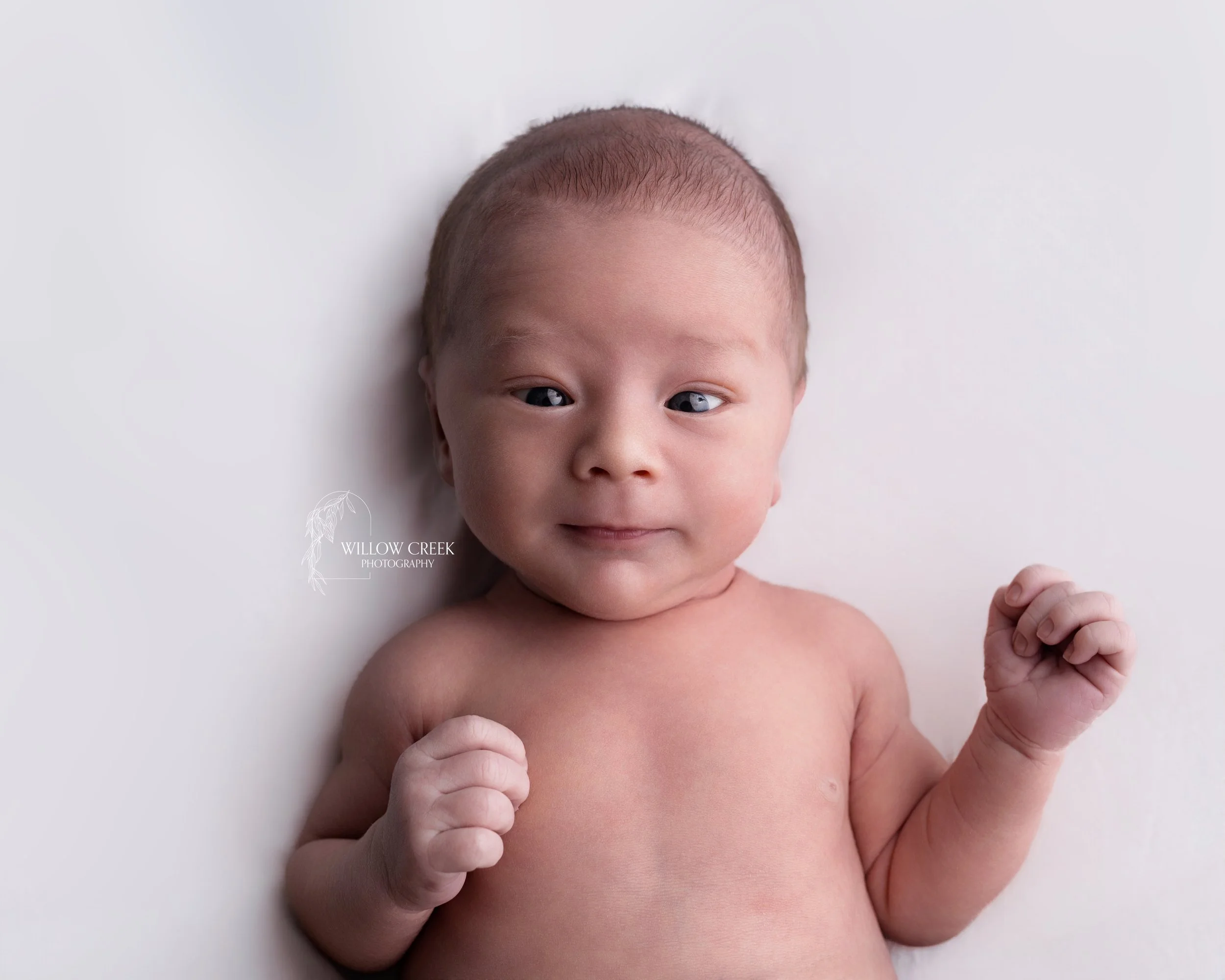 Baby-led newborn portrait by Willow Creek Photography