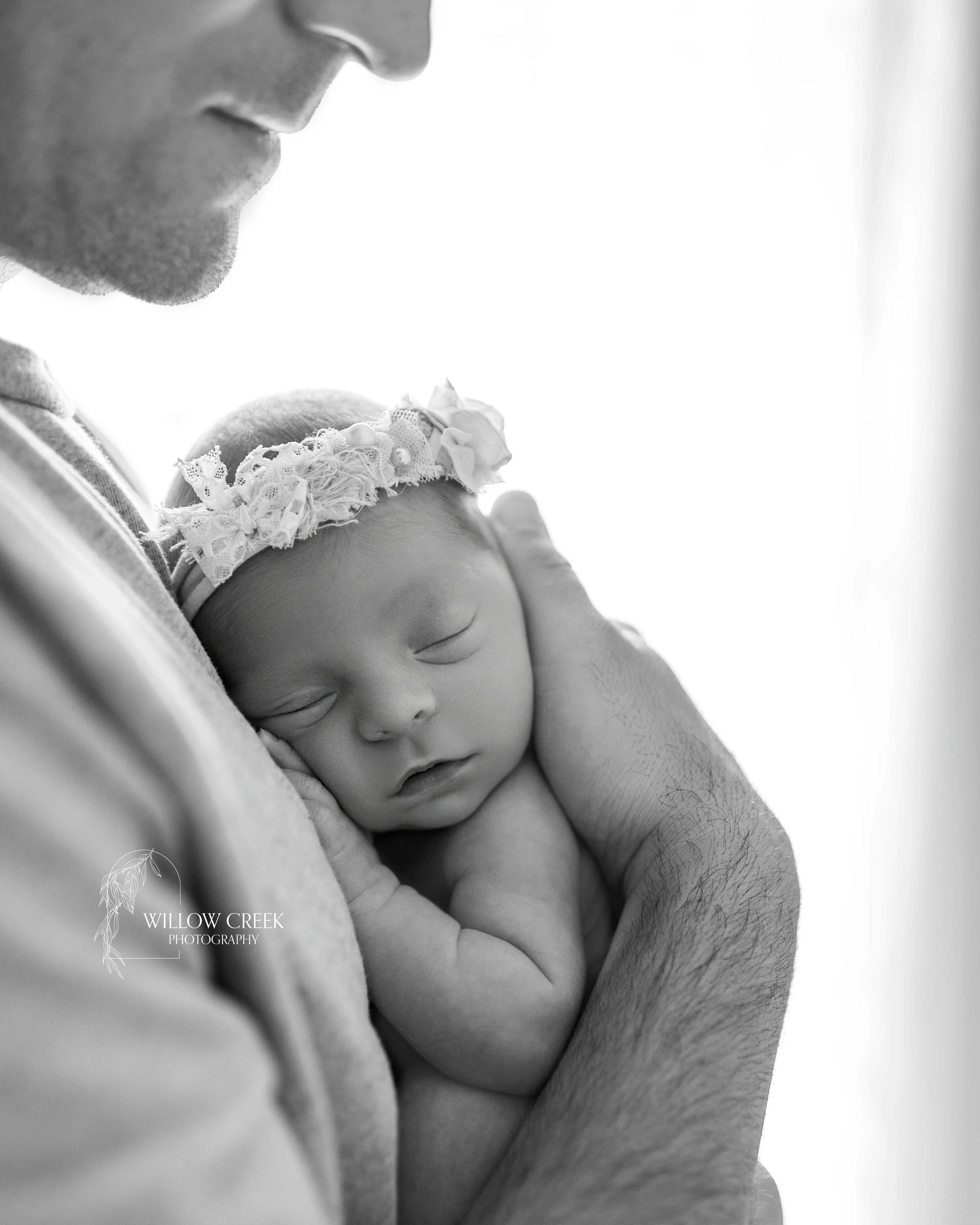 Posed Newborn In home Wilmington NC