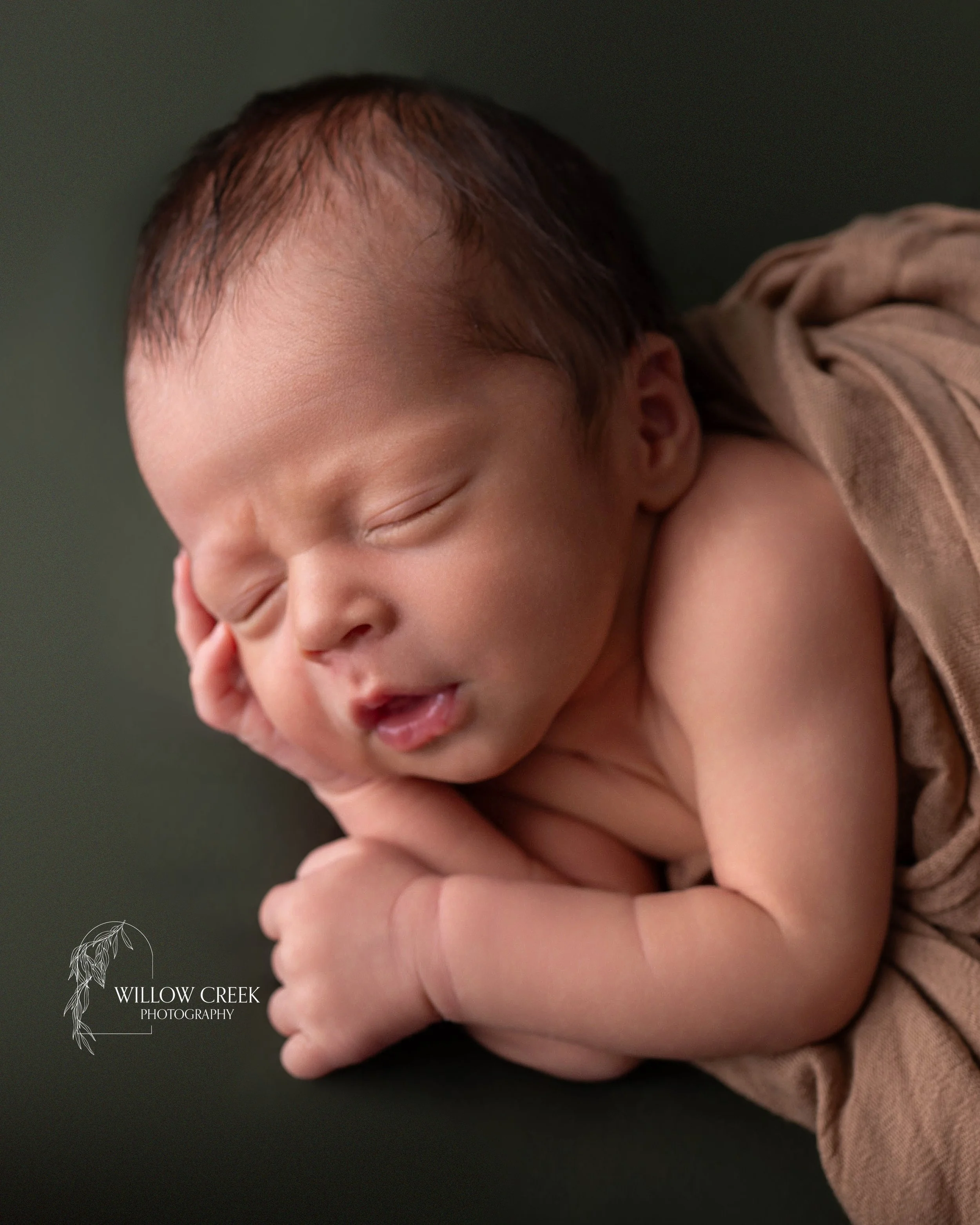 Posed In home Newborn Session Wilmington NC