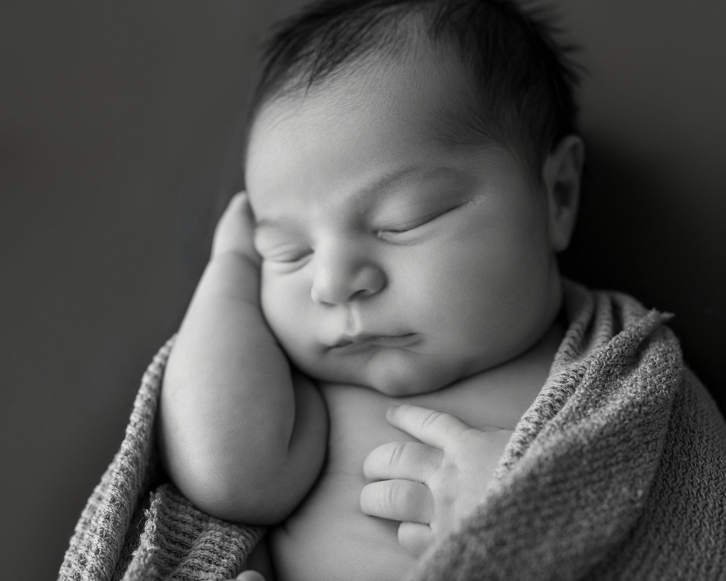 Newborn Posed In home Brunswick County NC