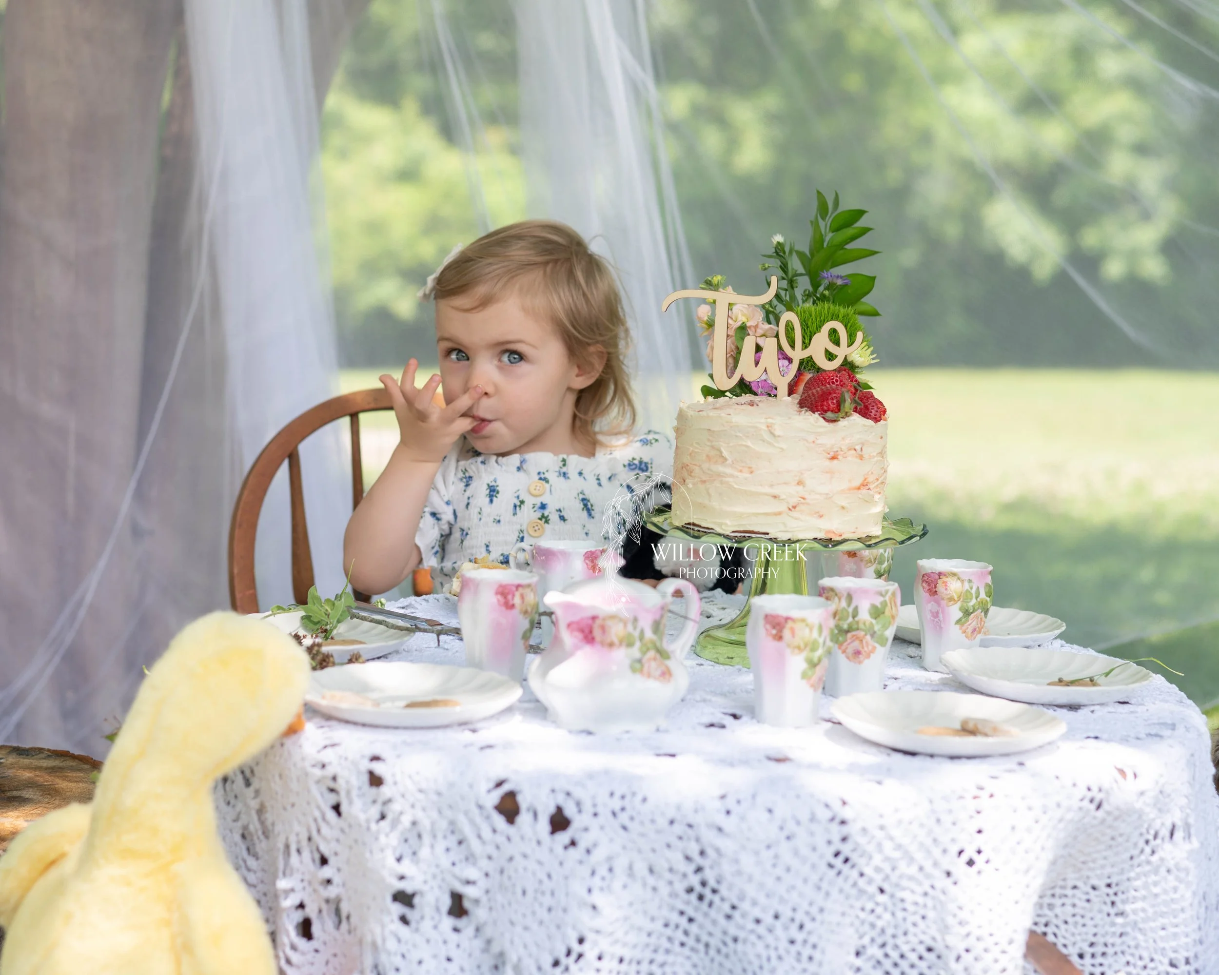 Little Bear inspired cake smash session in Wilmington NC