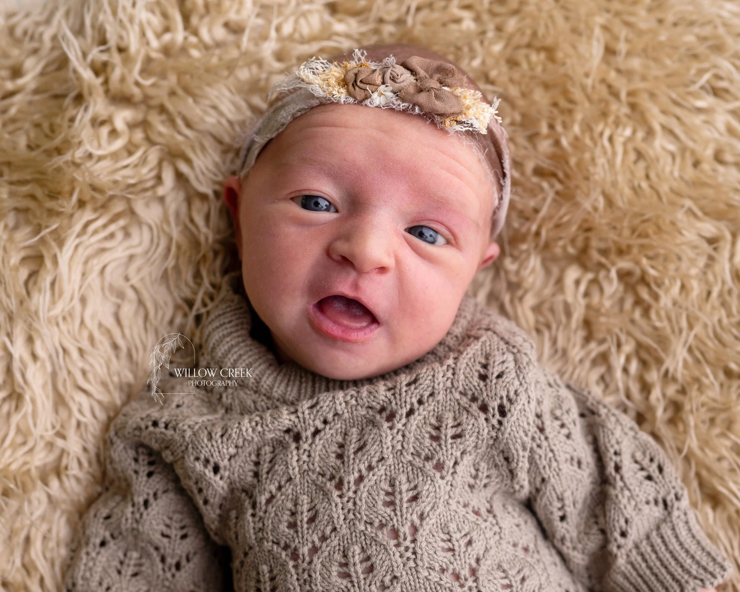 Newborn In home session Burgaw NC