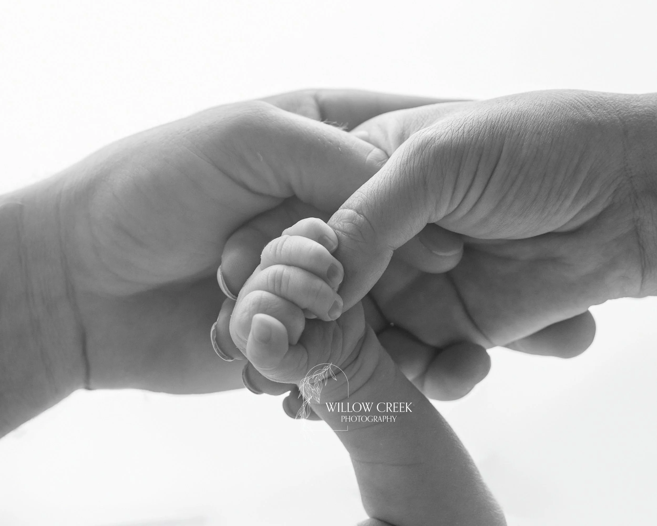 Tiny newborn toes photographed during an in-home session