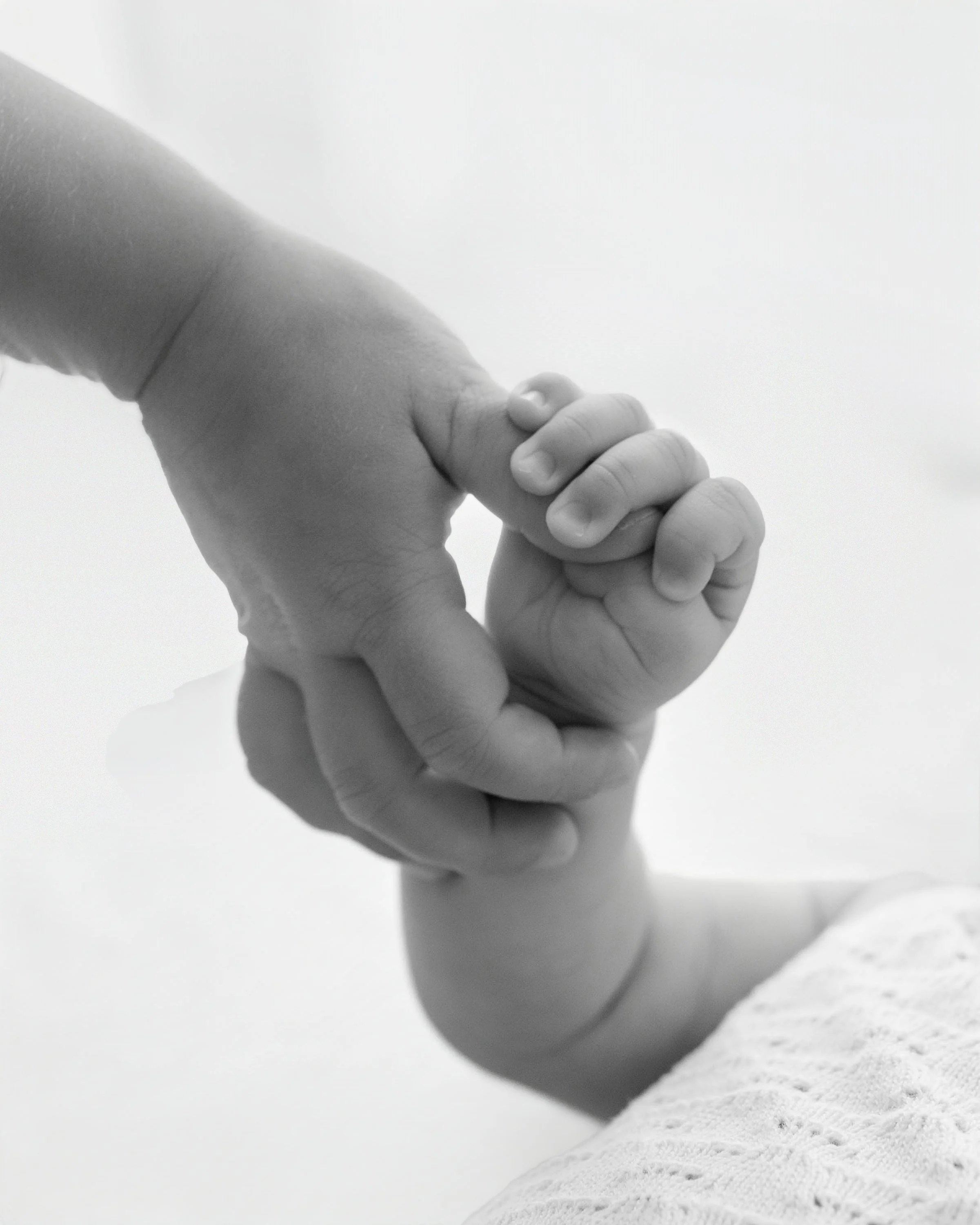 Baby Details Landfall, Wilmington NC