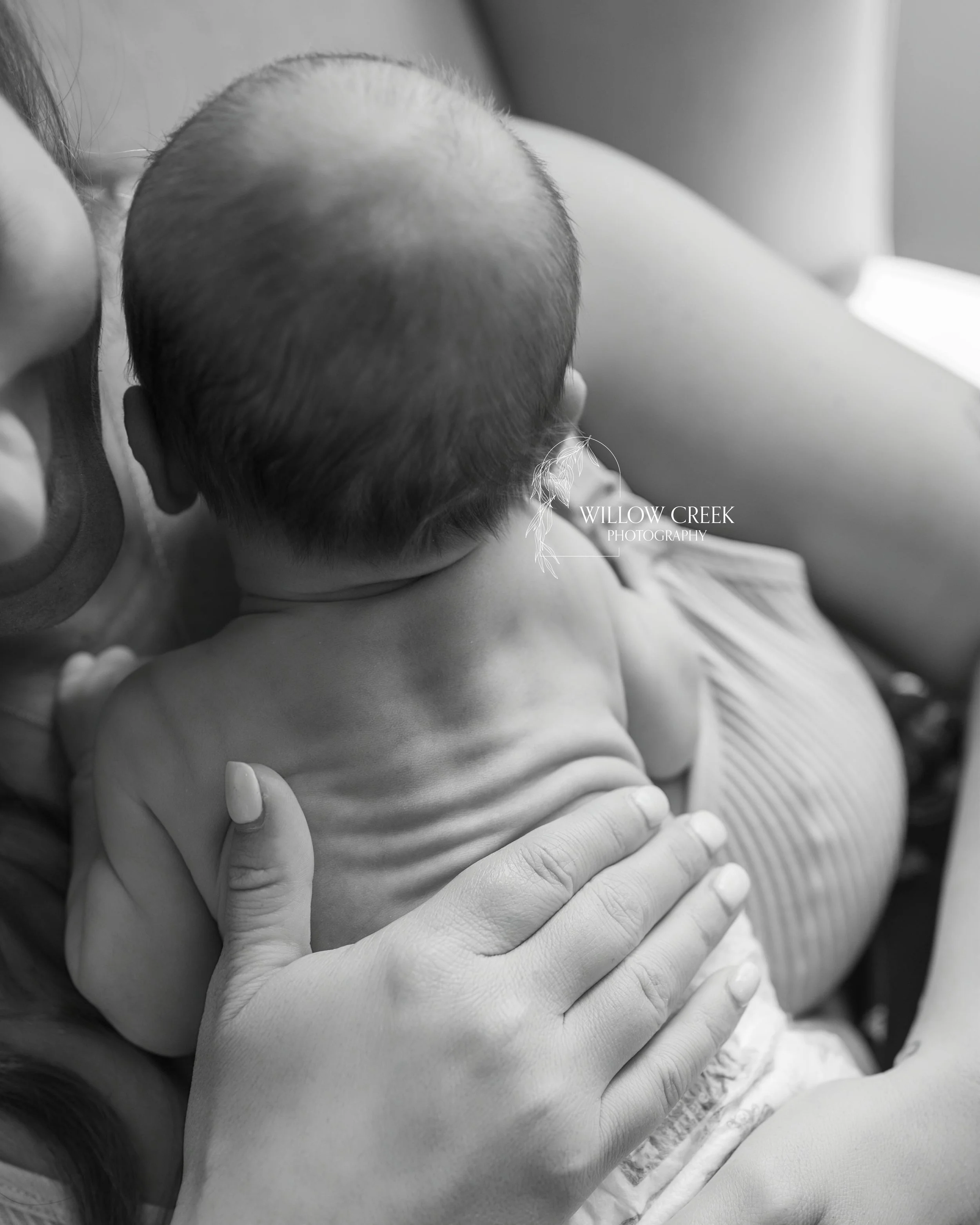 Newborn details in home session Leland NC
