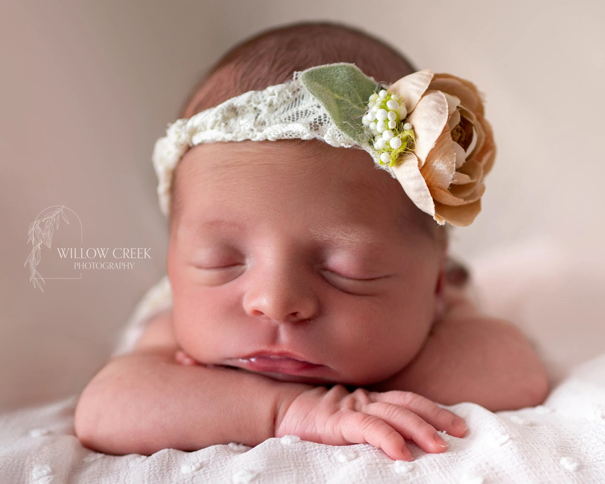 in home newborn session Wilmington nc