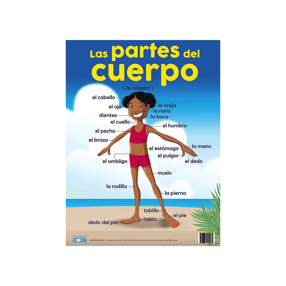 Parts of the Body in Spanish