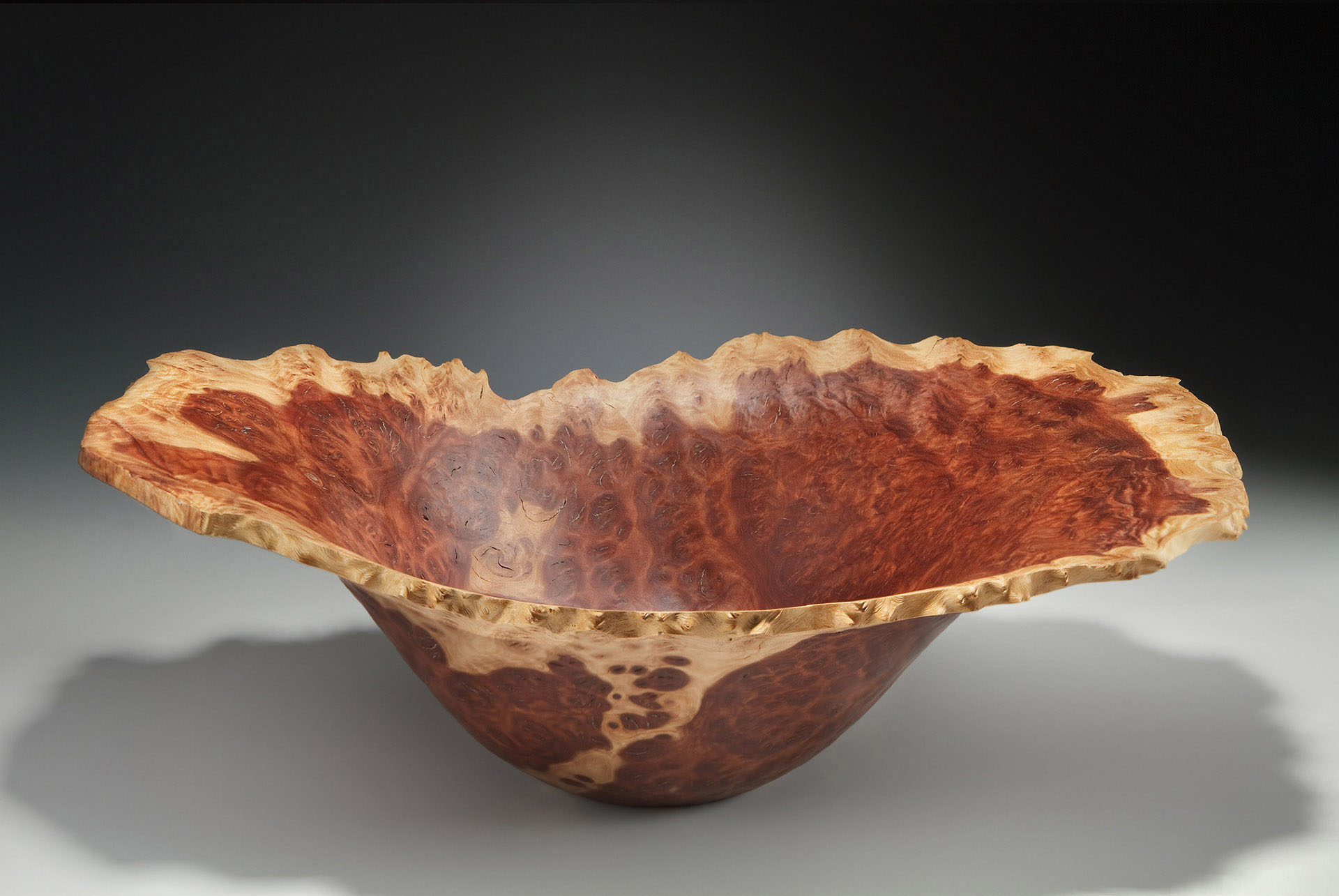 red morrell eucalyptus burl