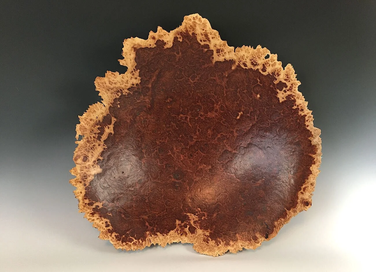 Eucalyptus Wood Burls By Woodworking Artist Steve Noggle — Steve Noggle