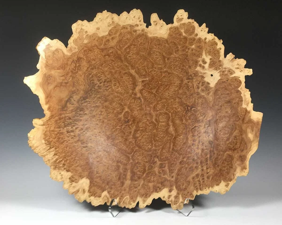 Eucalyptus Wood Burls By Woodworking Artist Steve Noggle — Steve Noggle