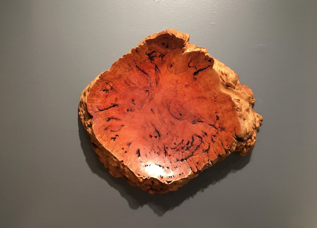 Red Gum Eucalyptus Wall Hanging
3&quot; thick by 18&quot; wide

This bowl was turned from York Gum Eucalyptus Burl. A wipe on poly finish preserves the wood which can be cleaned with a damp sponge and dried with a soft cloth.

To purchase, please vis