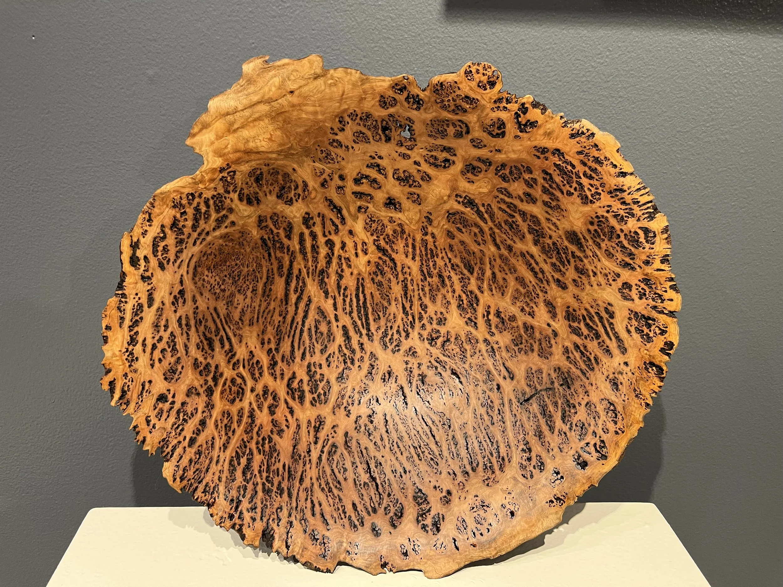 Eucalyptus Wood Burls By Woodworking Artist Steve Noggle — Steve Noggle