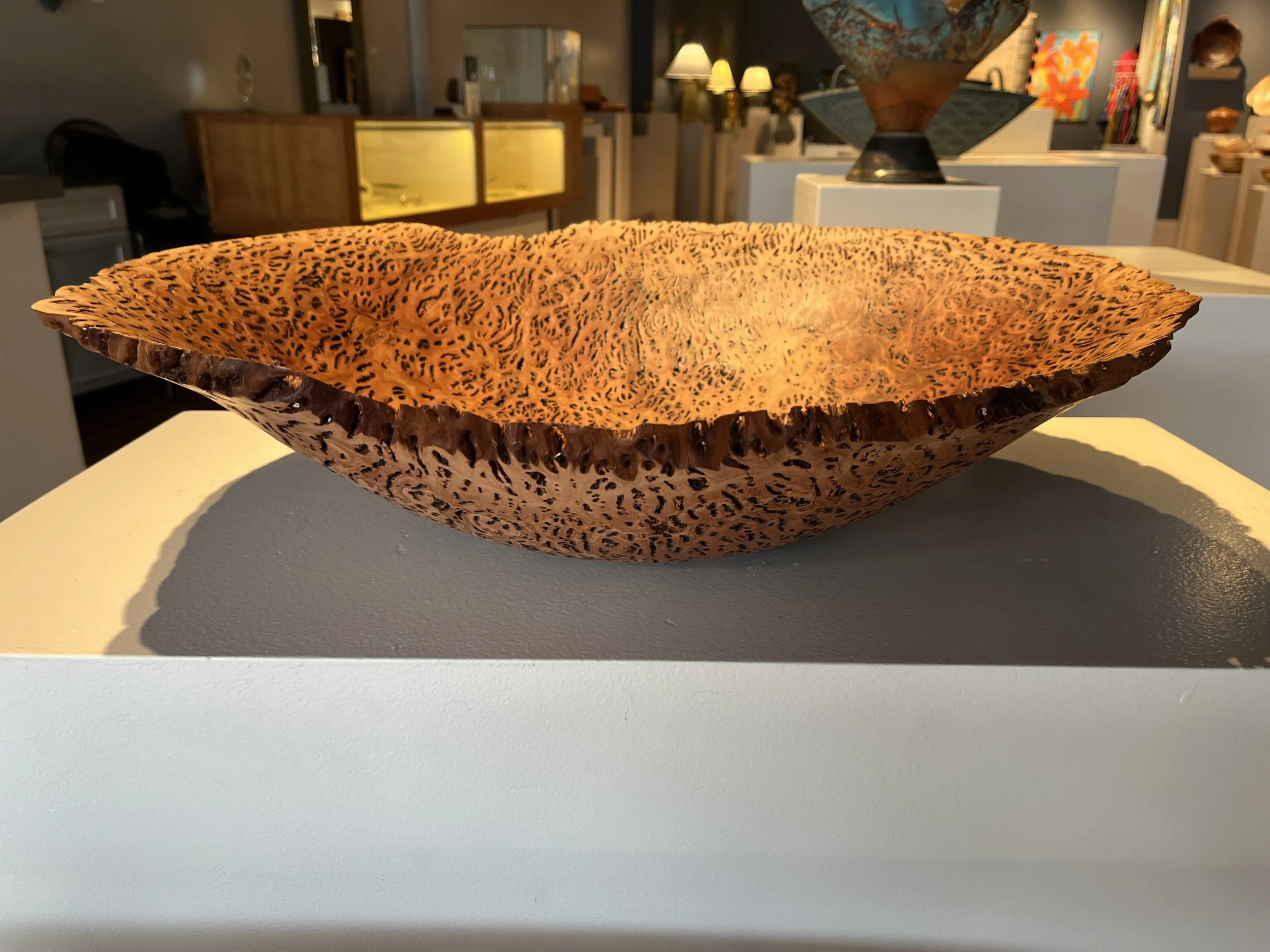 Eucalyptus Wood Burls By Woodworking Artist Steve Noggle — Steve Noggle