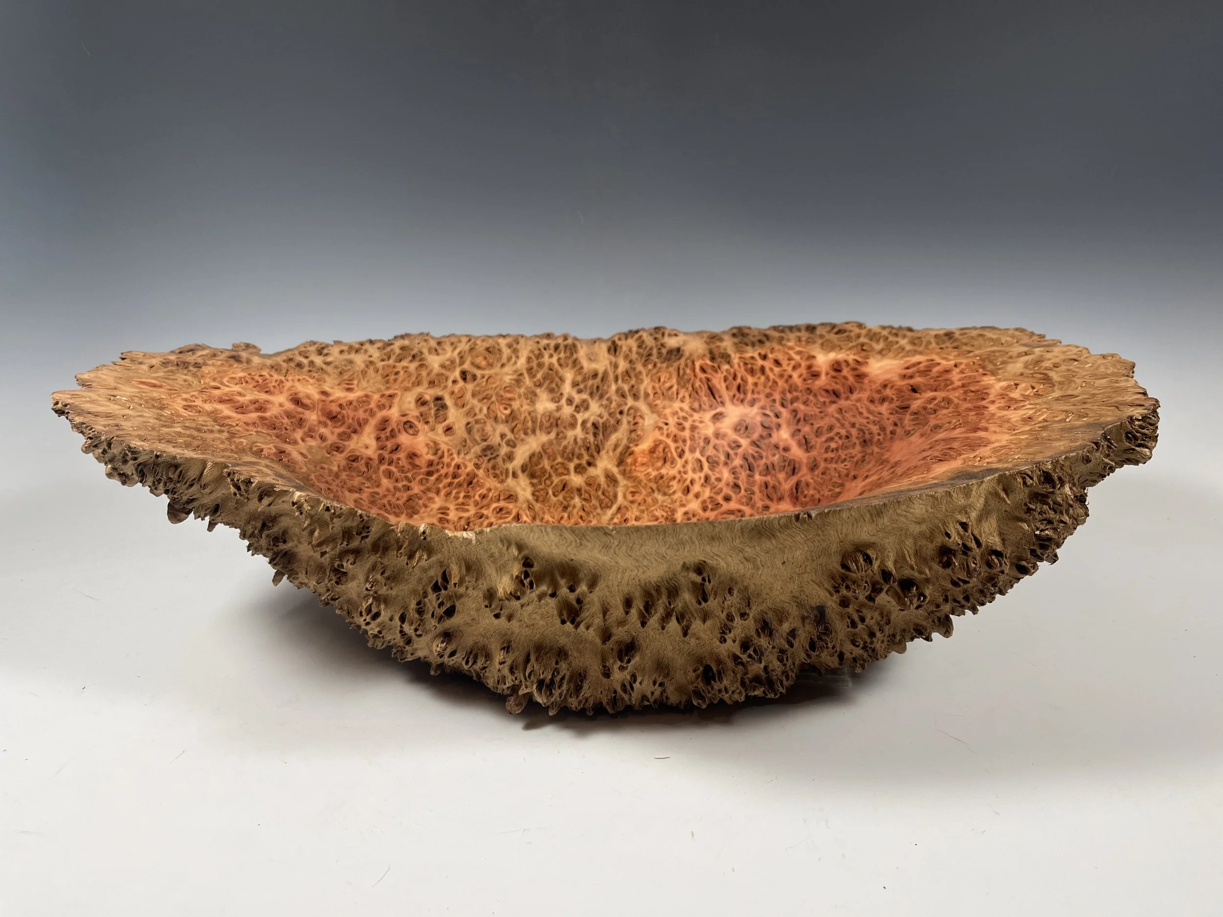 Eucalyptus Wood Burls By Woodworking Artist Steve Noggle — Steve Noggle