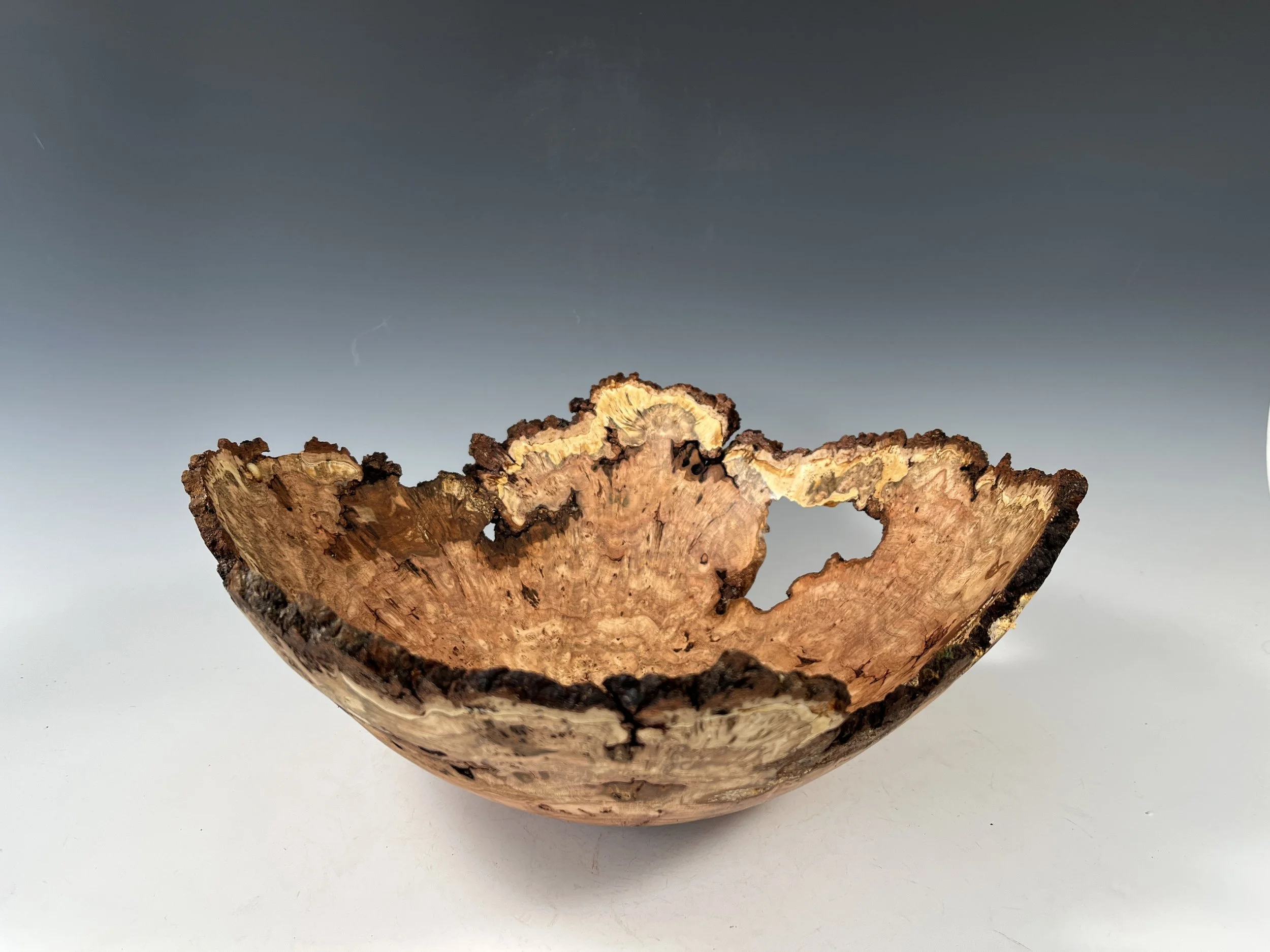 Natural Edge Wood Bowls By Woodworking Artist Steve Noggle — Steve Noggle