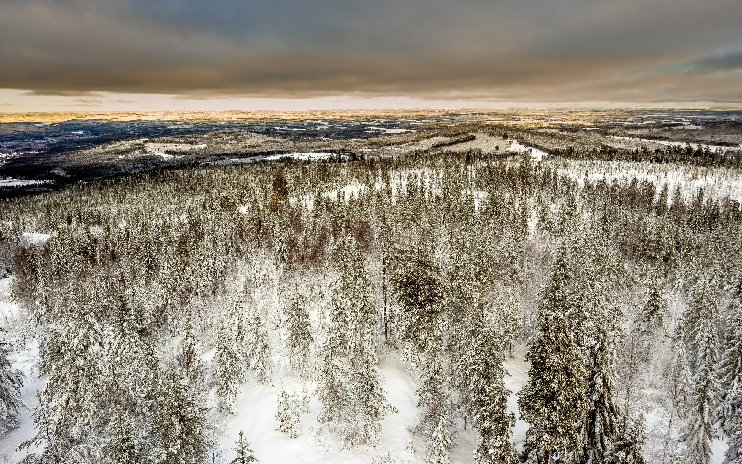 Swedish Lapland &amp; Northern Lights Winter Escape