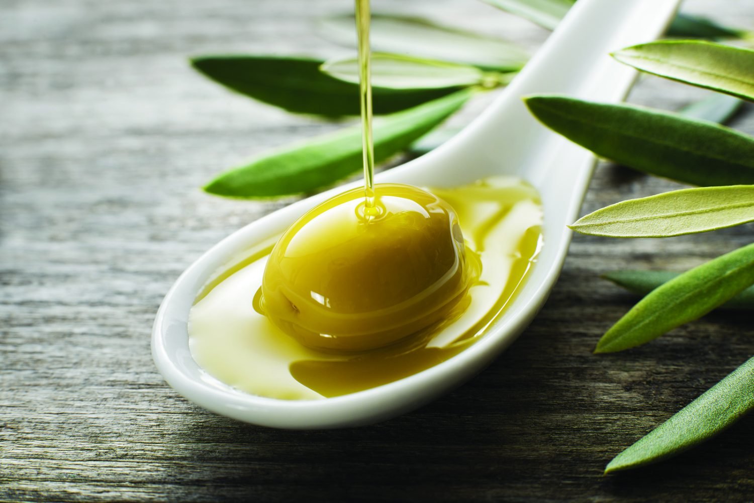 Olive oil degustation3.jpg