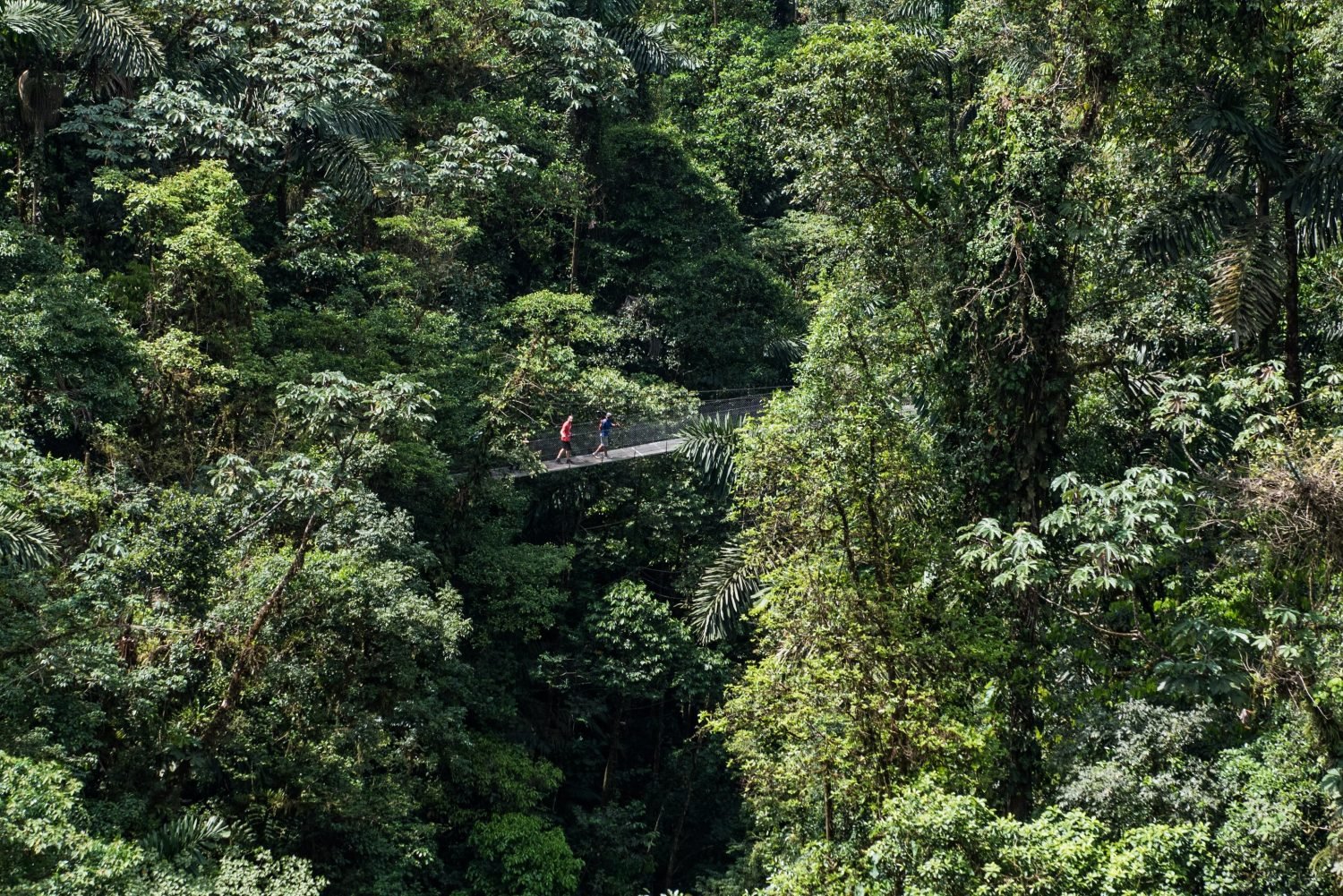Hanging Bridges Park, Arenal, Costa Rica with Viaventure4.jpg