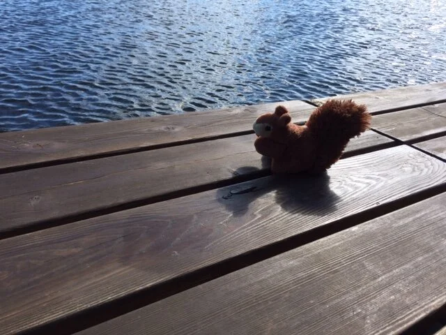 Scottie's Day at the Lake