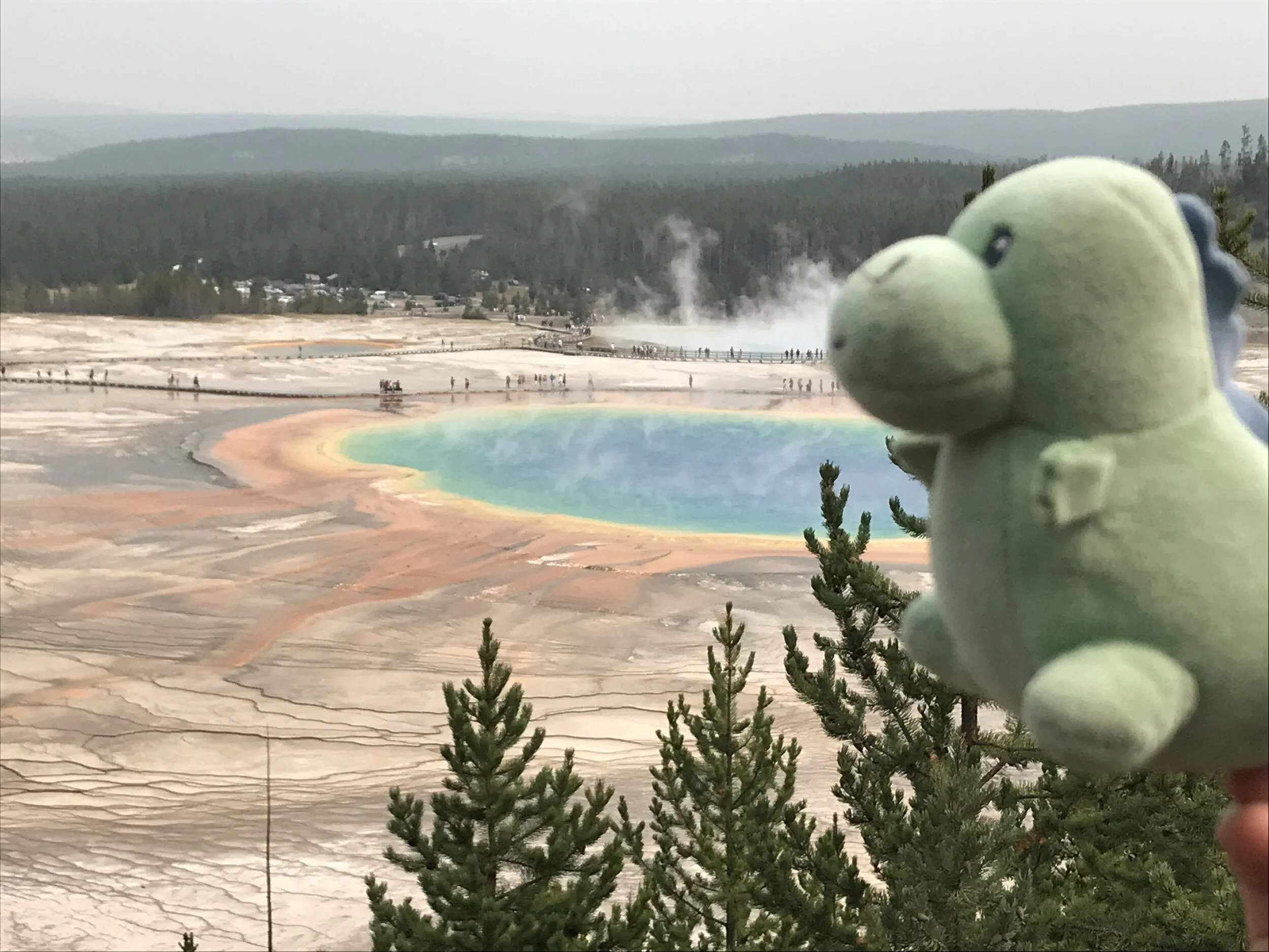 Taco's Trip to Yellowstone