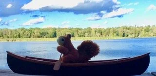 Scottie  Dreams of Open Water