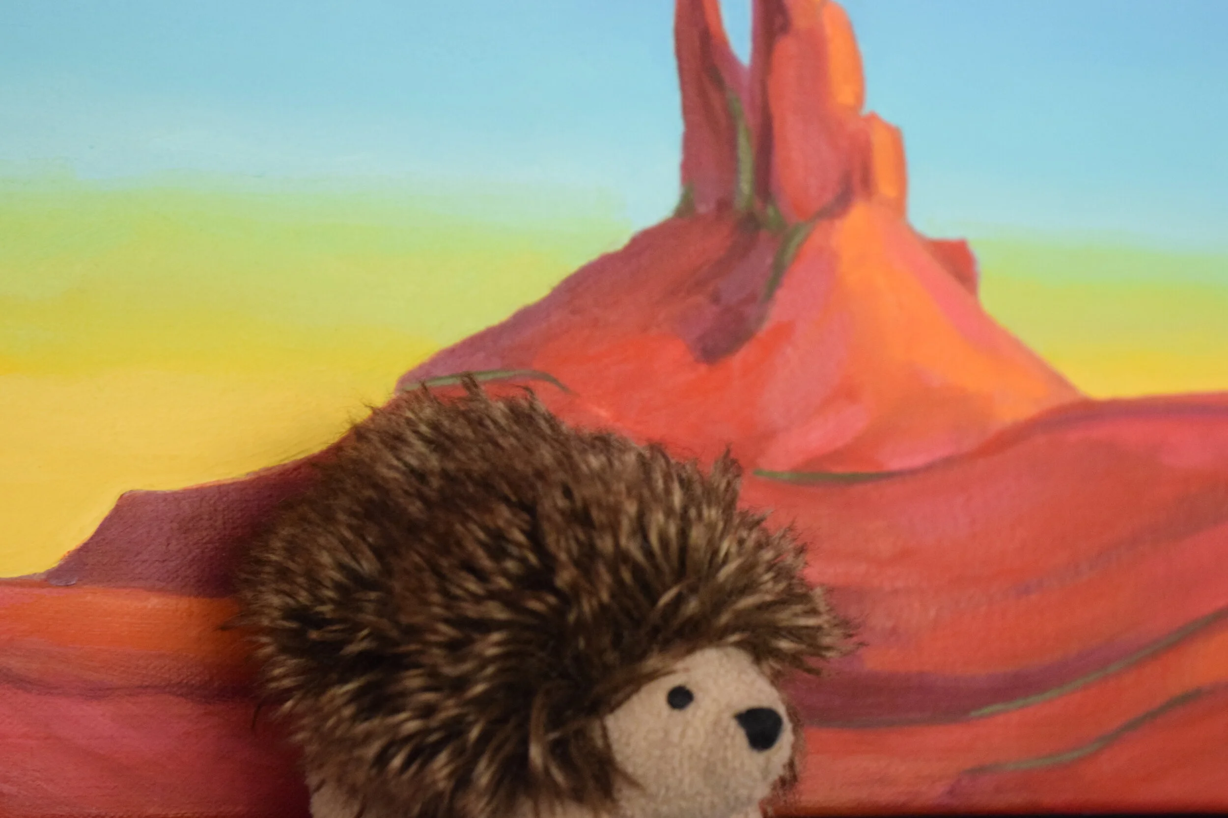 Our Skydiving Adventure