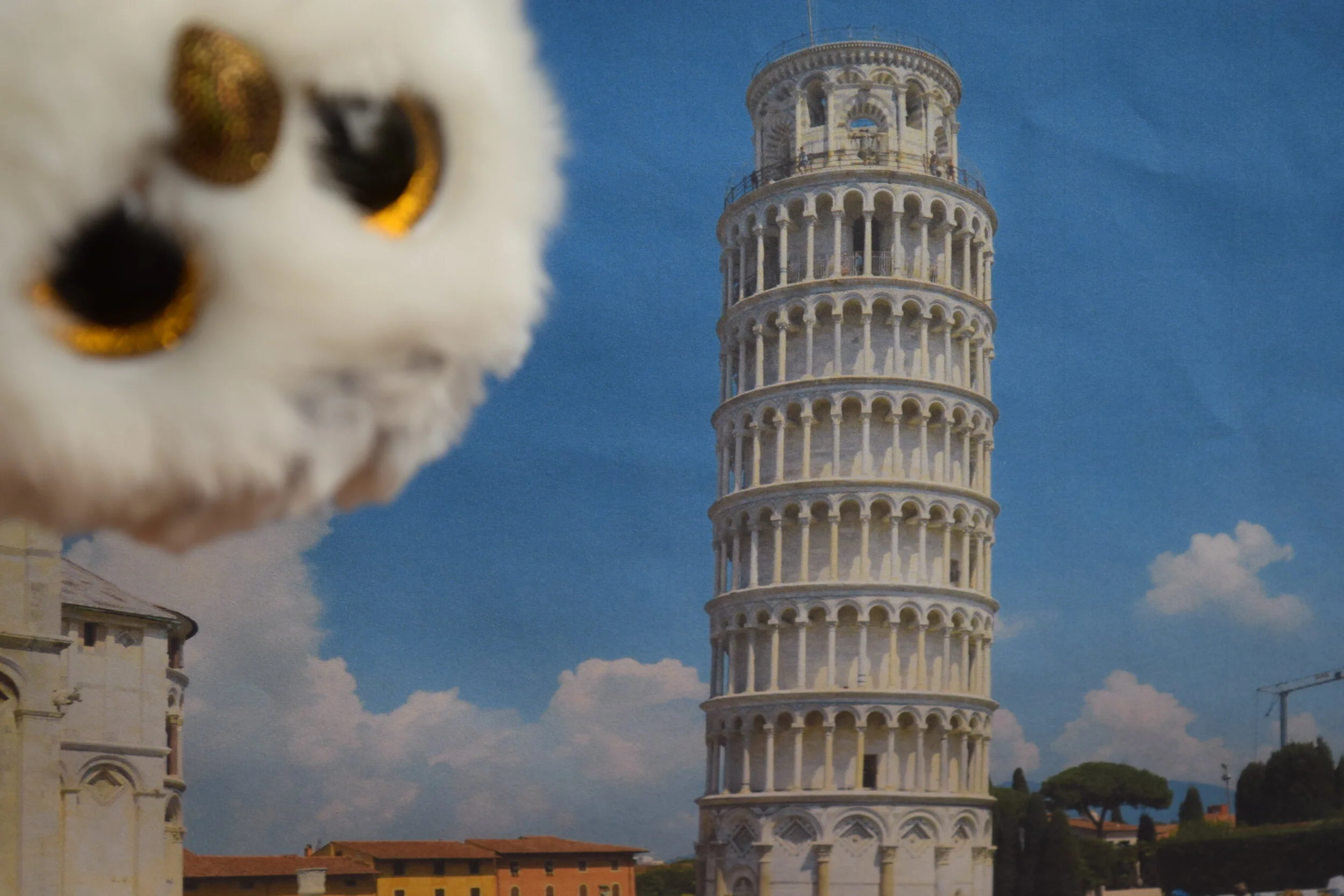 Oscar's Off to Get Some Pisa (my trip to Italy)