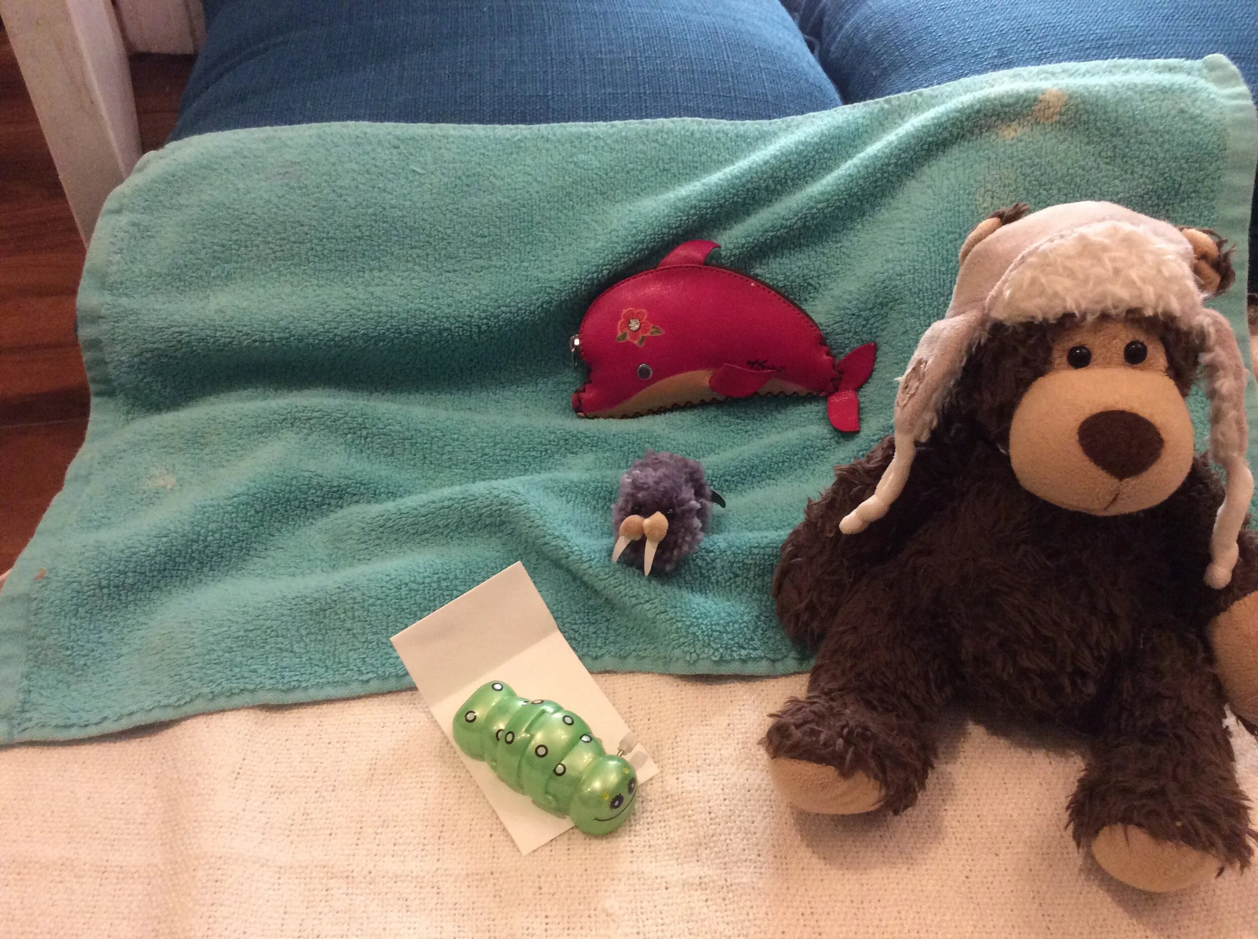 Inchy &amp; Yeti's Photo Album: Adventure in Hawaii